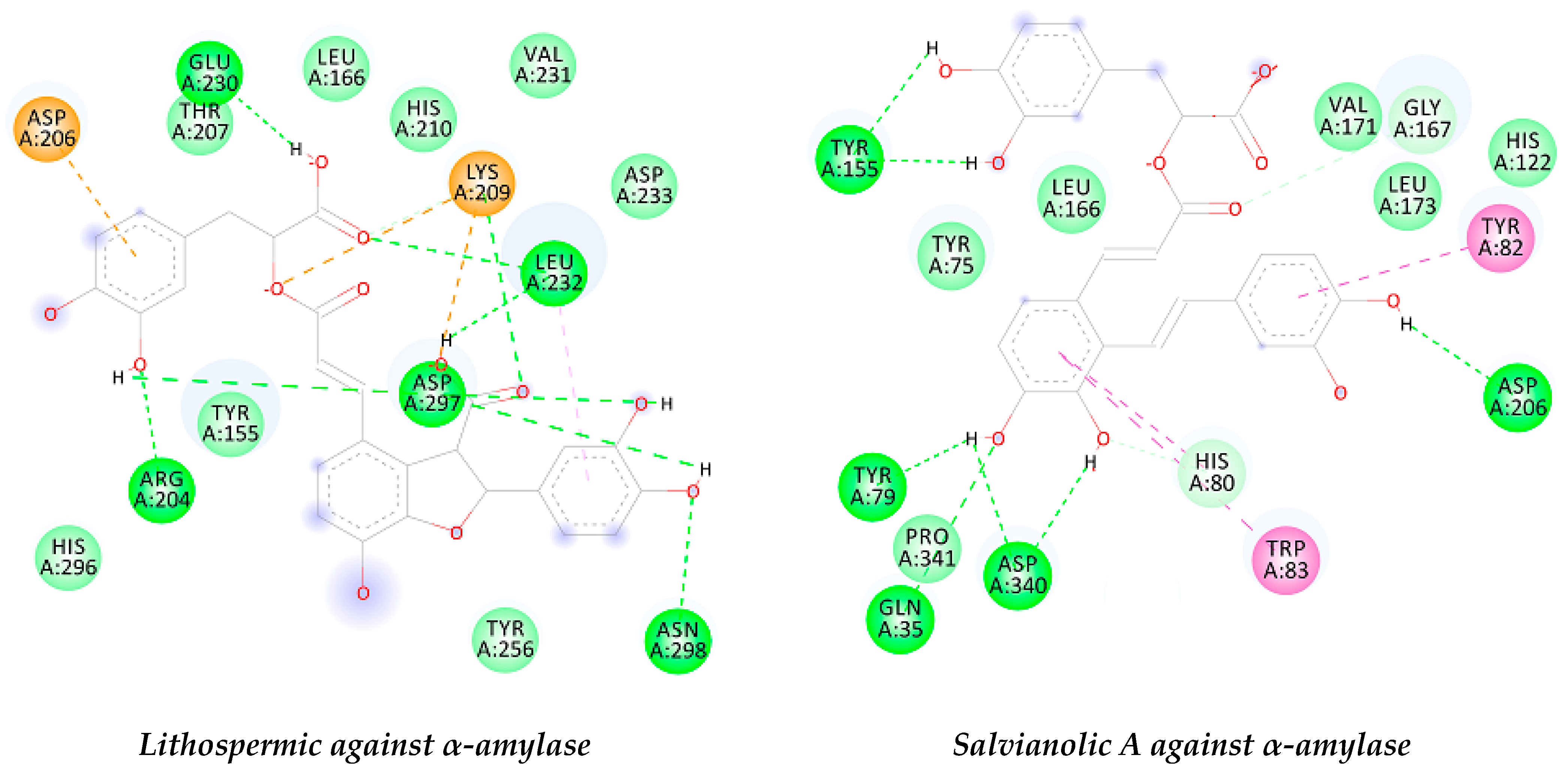 Biomolecules 11 00053 g001a Biomolecules 11 00053 g001a