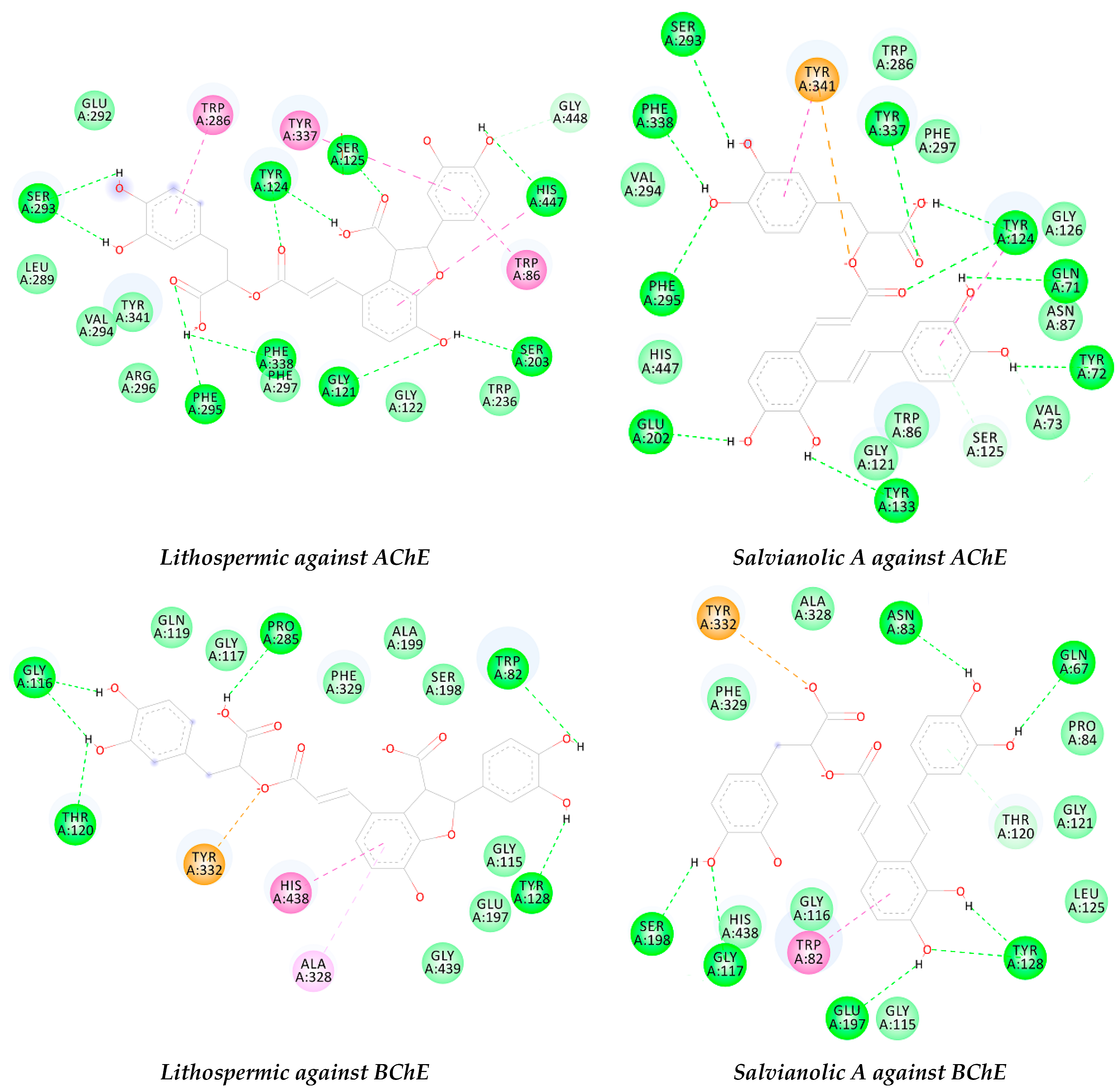 Biomolecules 11 00053 g001b Biomolecules 11 00053 g001b
