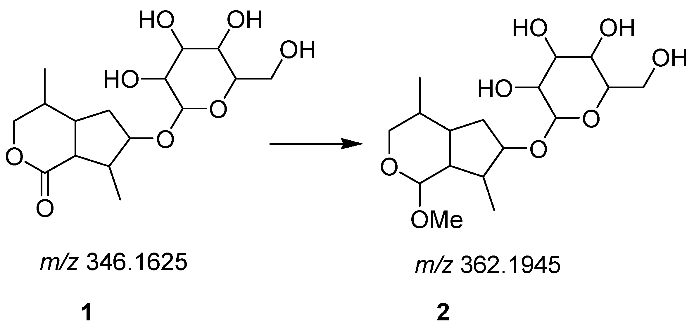 Biomolecules 11 00053 sch001 Biomolecules 11 00053 sch001