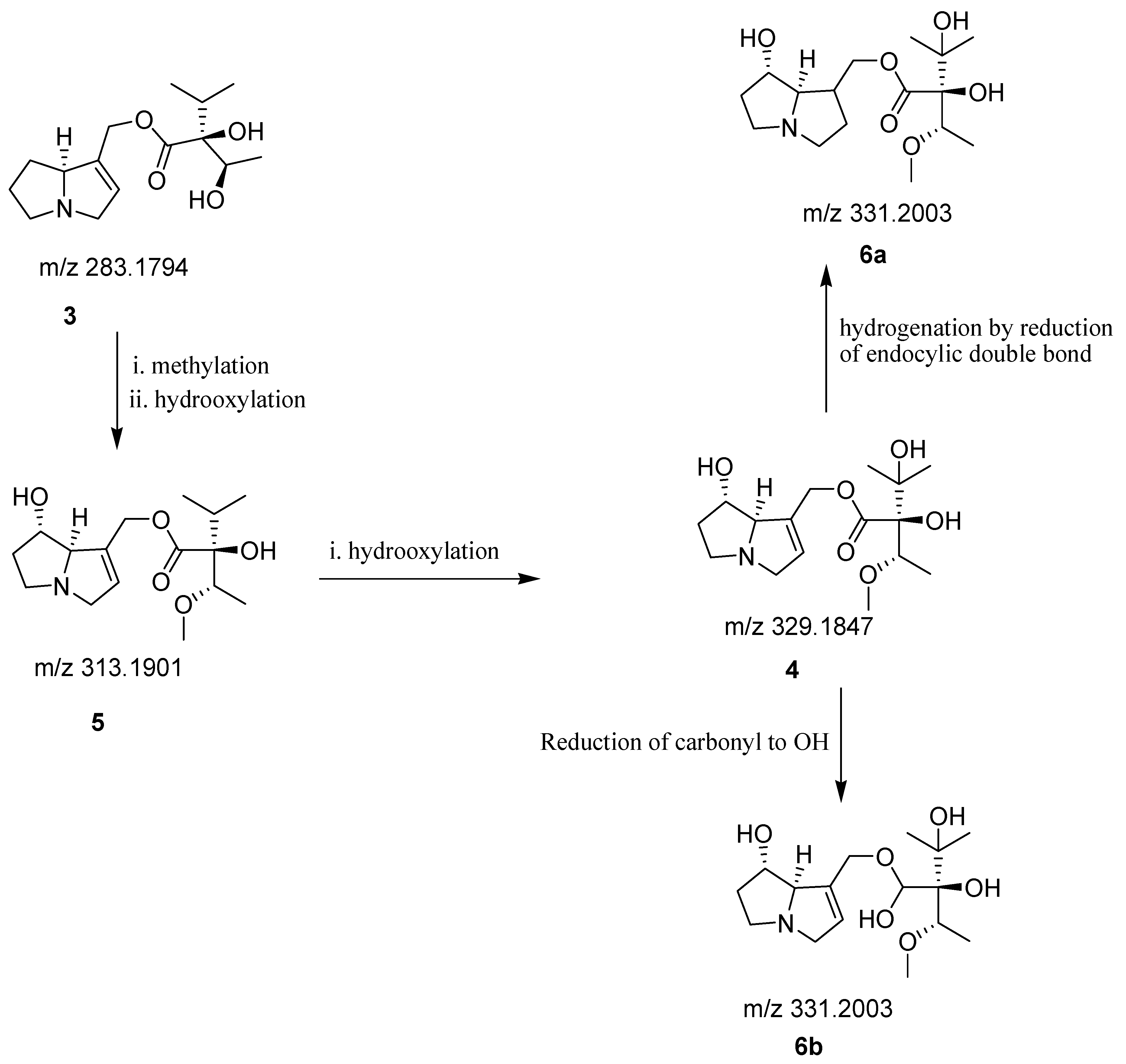 Biomolecules 11 00053 sch002 Biomolecules 11 00053 sch002