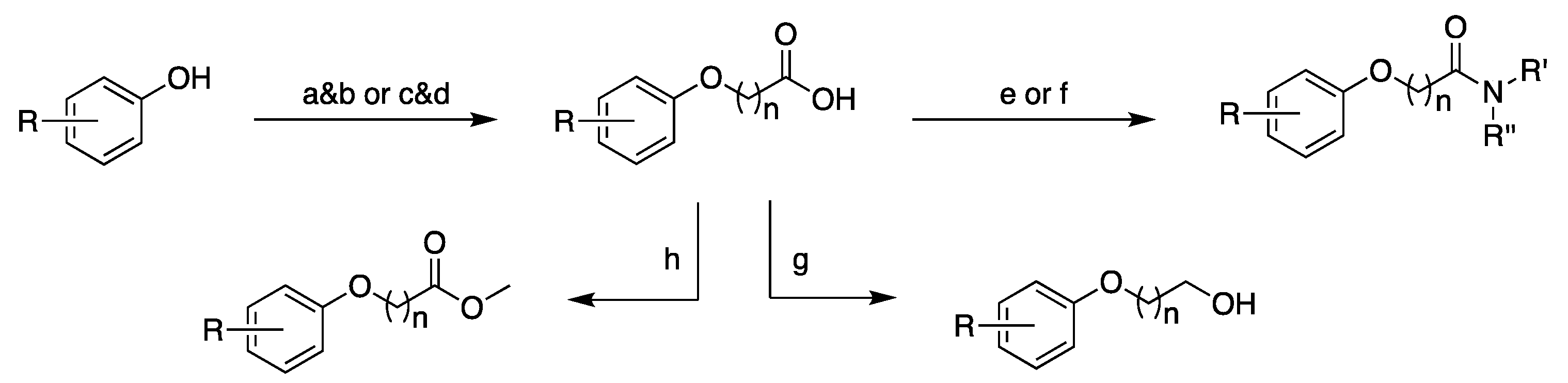 Biomolecules 11 00055 sch001 Biomolecules 11 00055 sch001