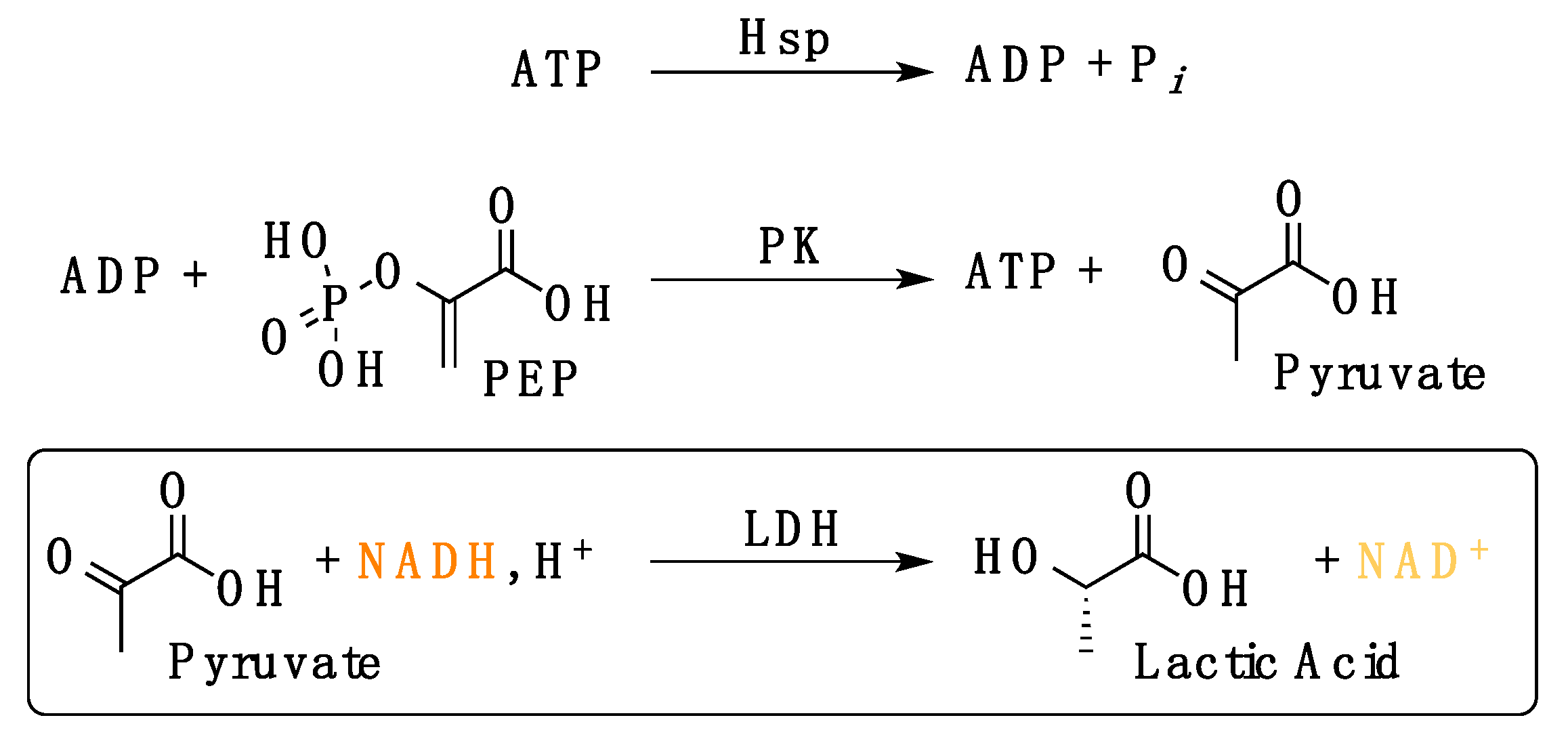 Biomolecules 11 00056 g0a1