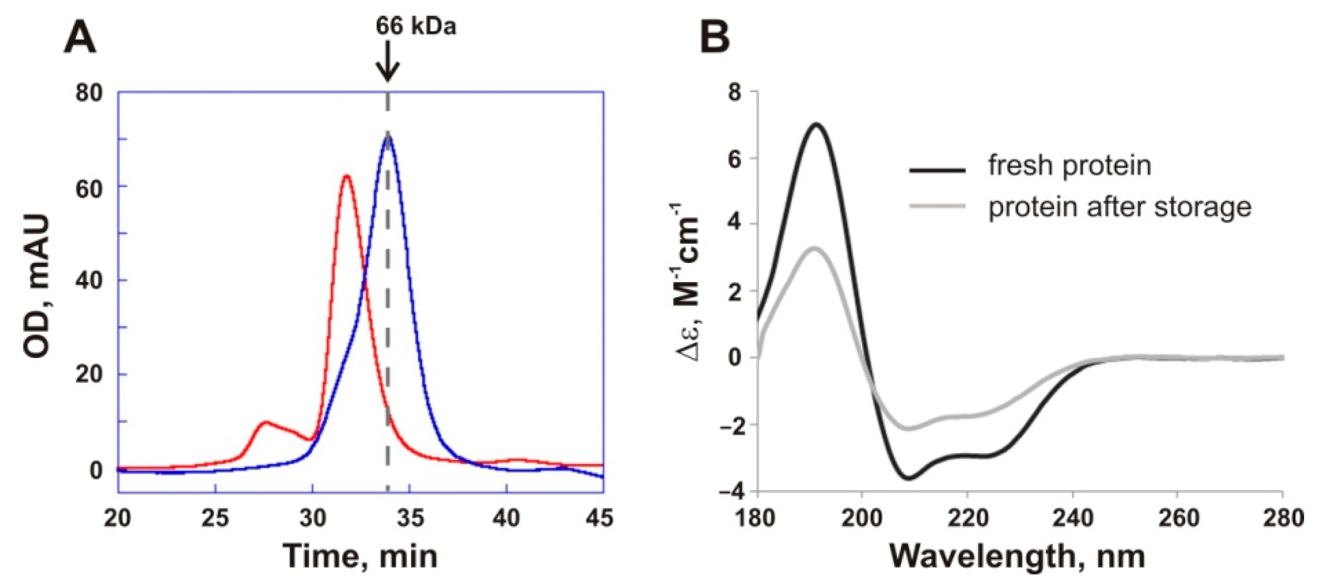 Biomolecules 11 00057 g001