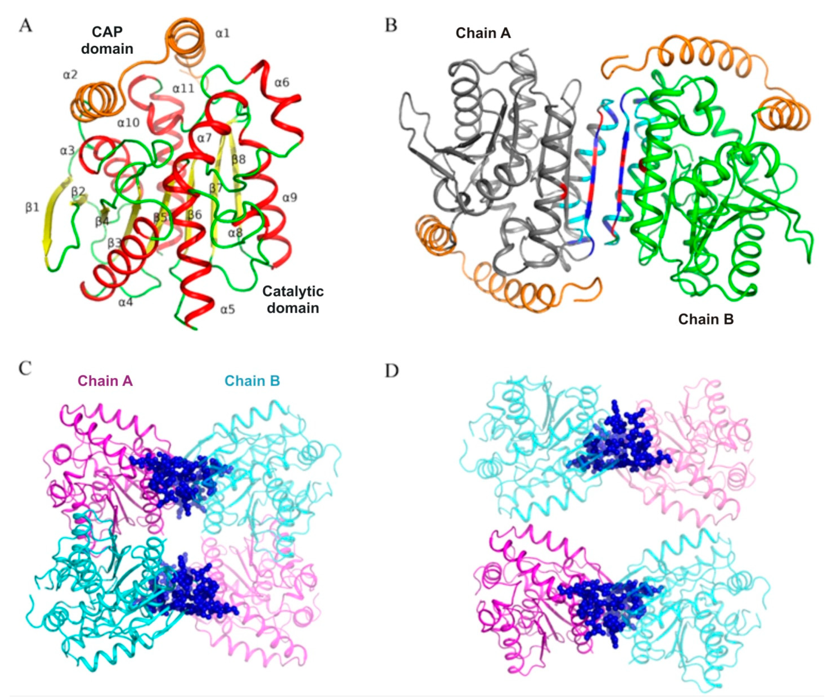 Biomolecules 11 00057 g002