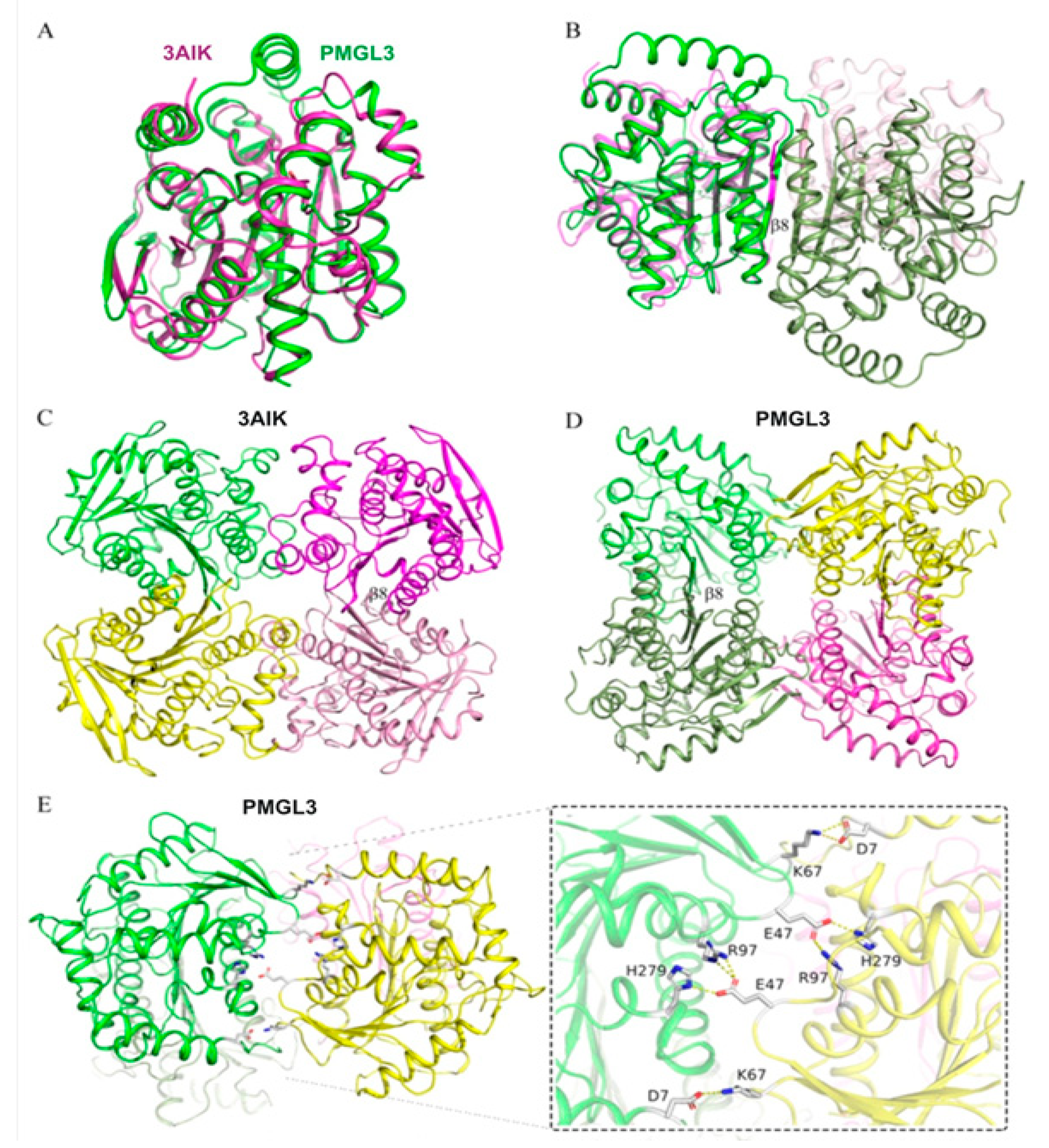 Biomolecules 11 00057 g005