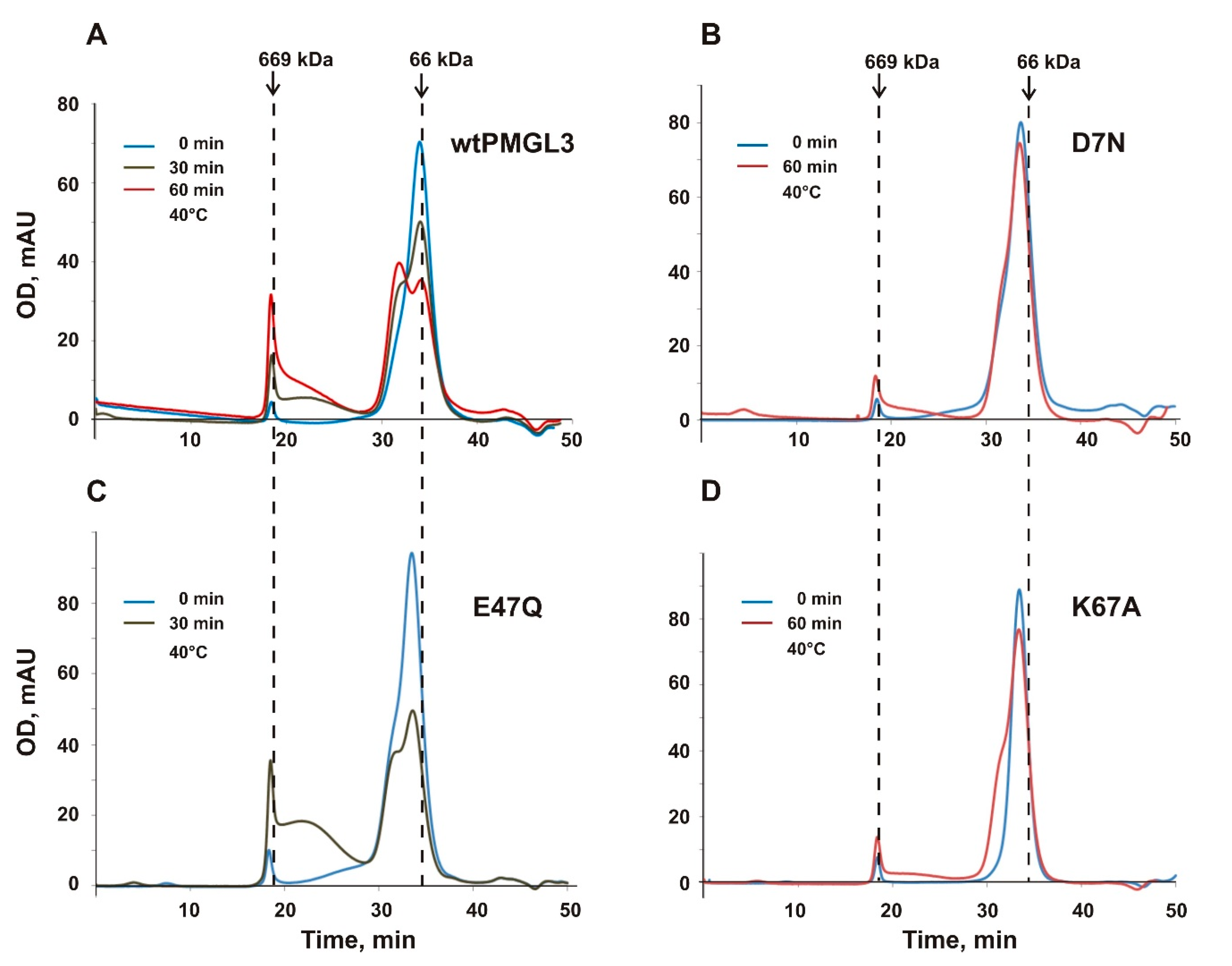 Biomolecules 11 00057 g006