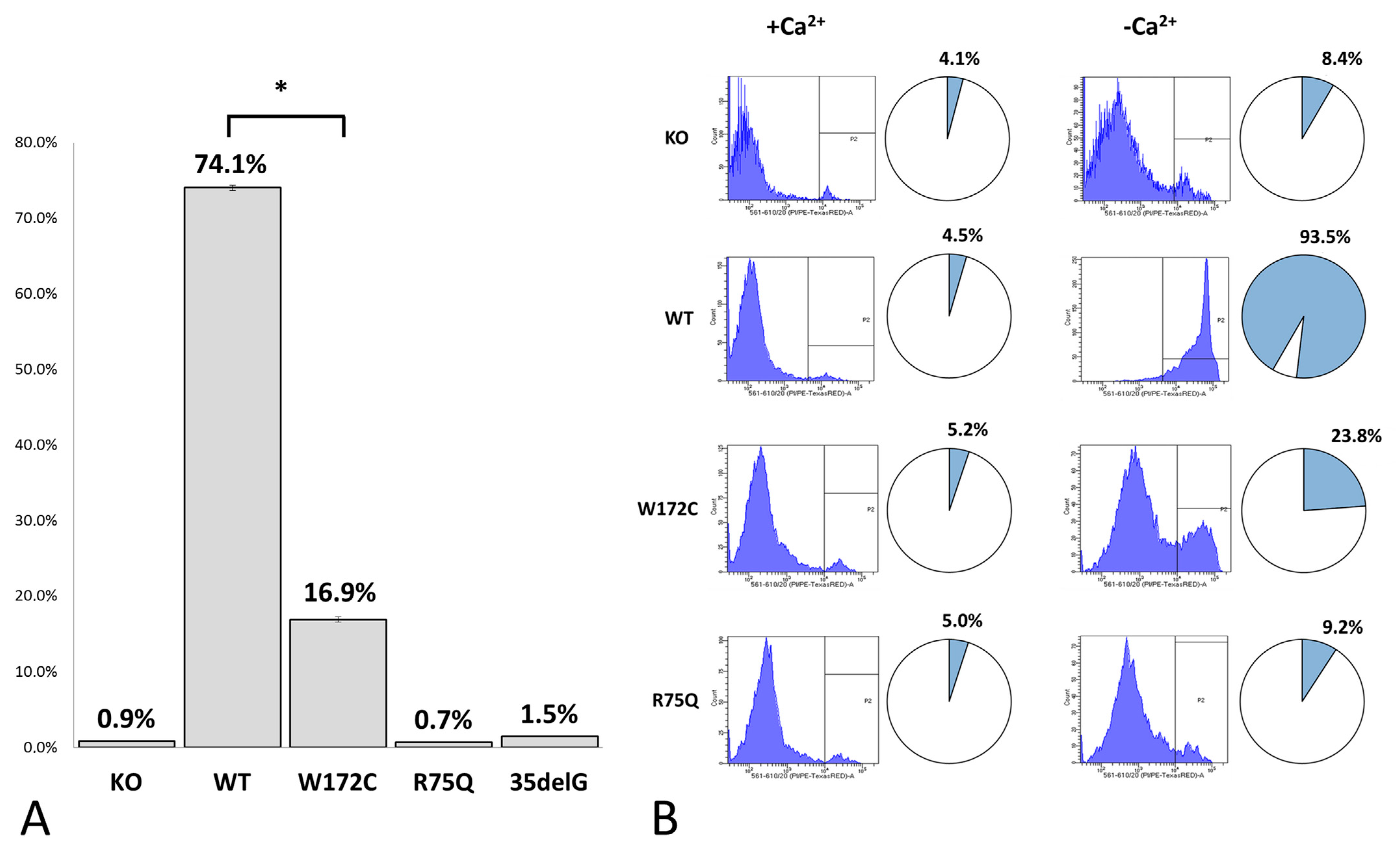 Biomolecules 11 00061 g004