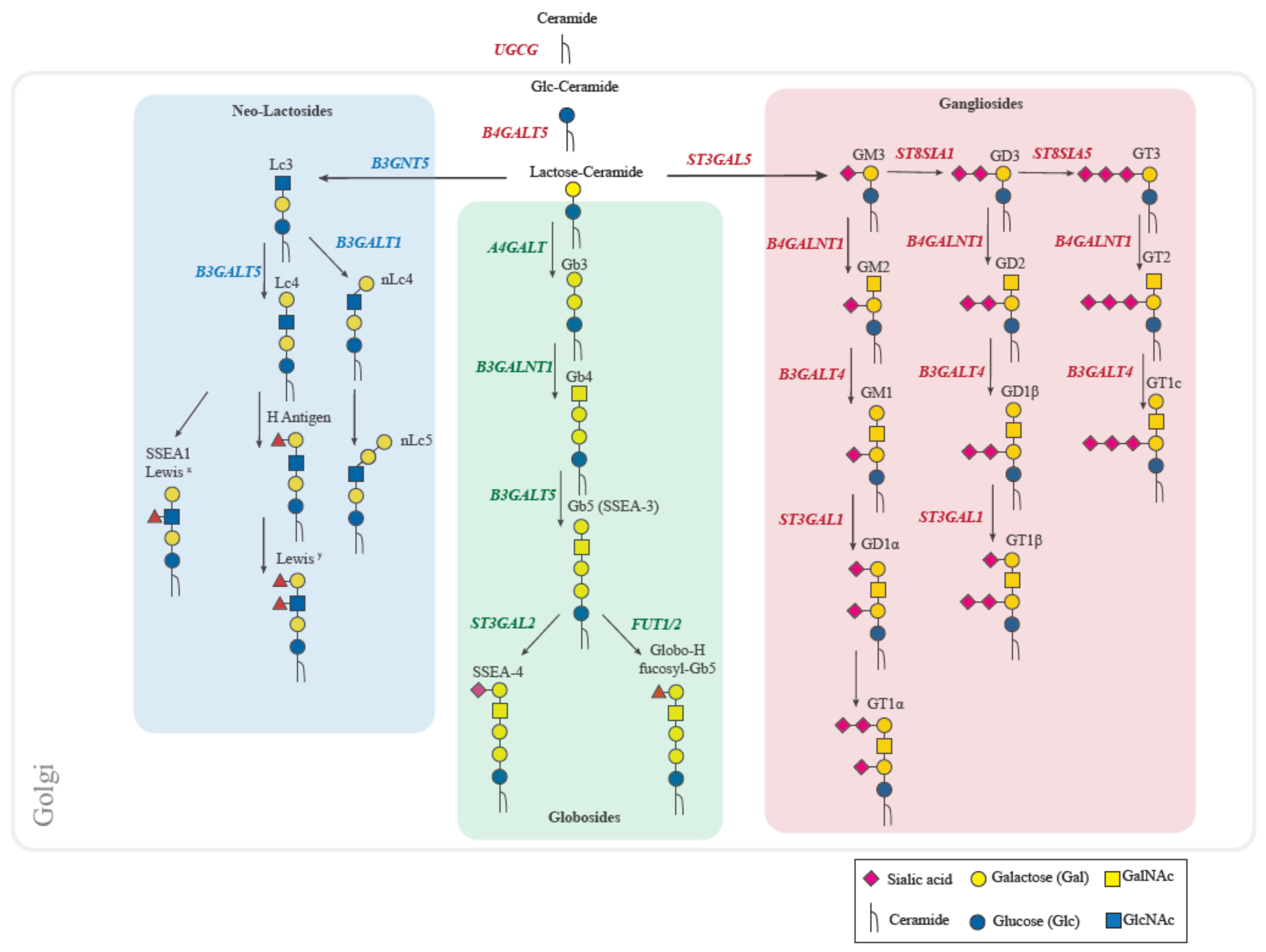 Biomolecules 11 00062 g002