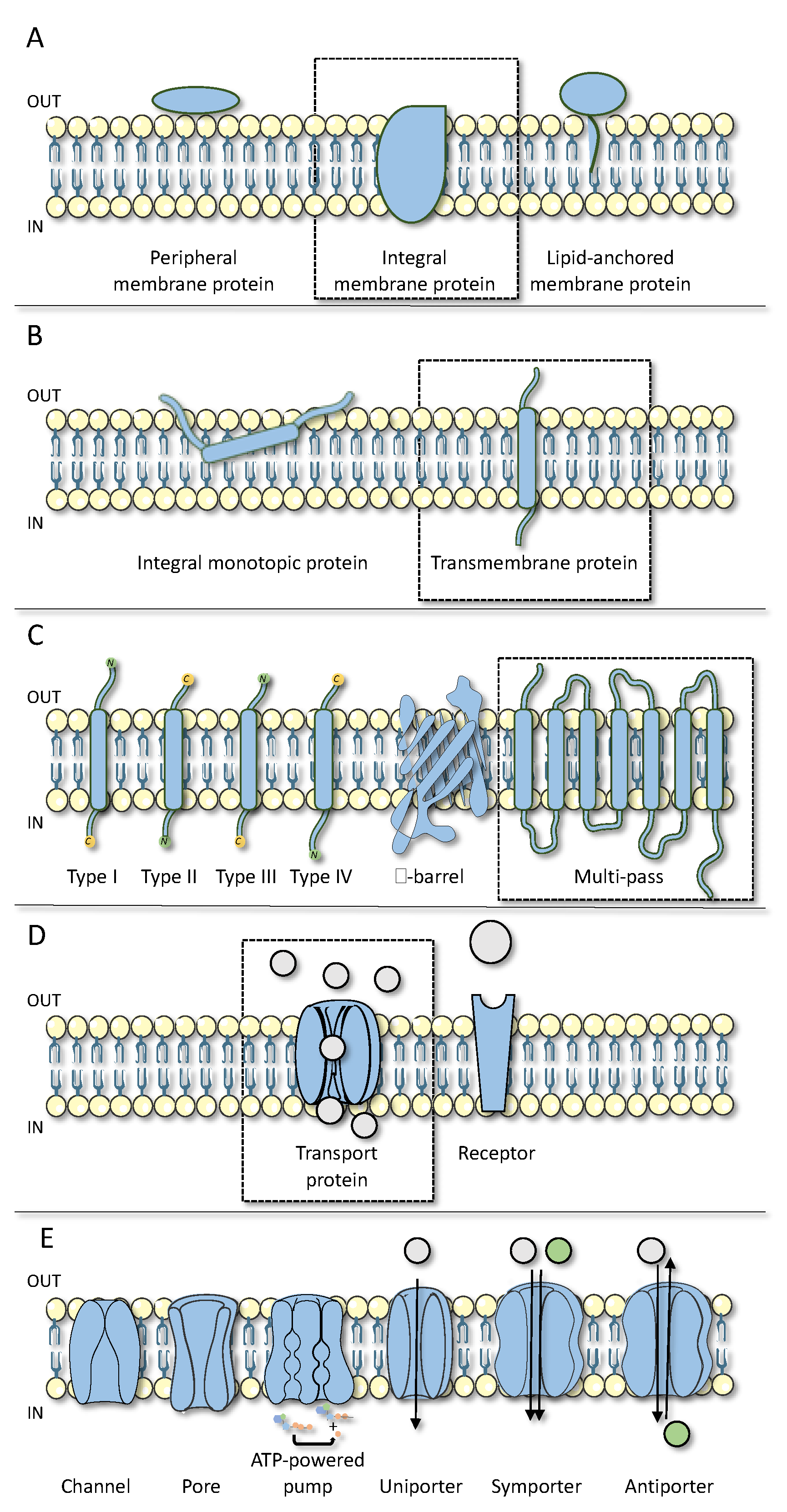 Biomolecules 11 00063 g001 Biomolecules 11 00063 g001