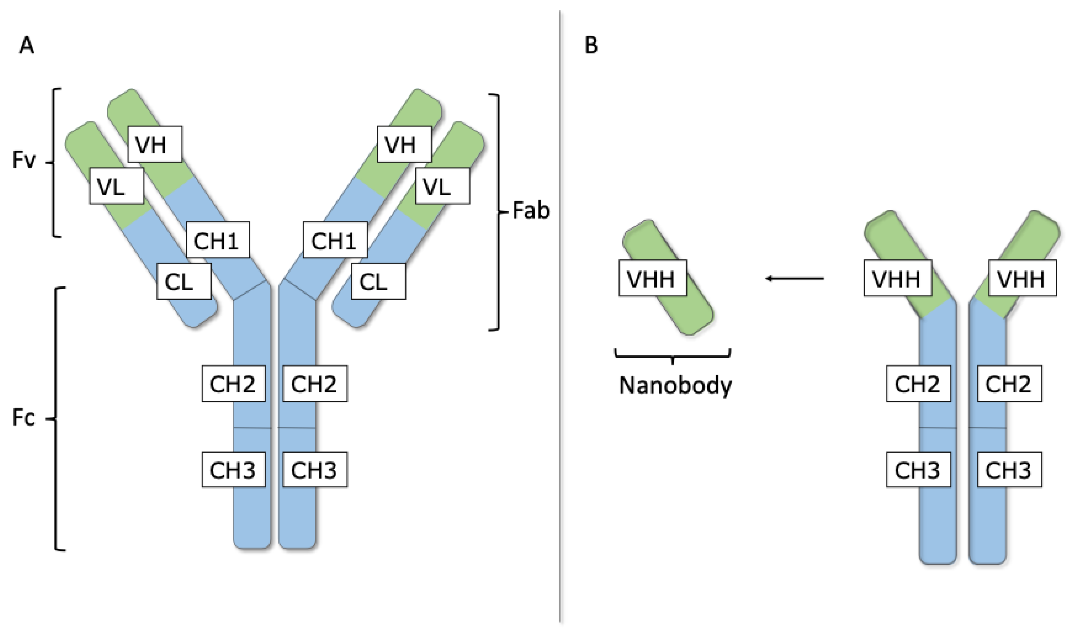 Biomolecules 11 00063 g002 Biomolecules 11 00063 g002
