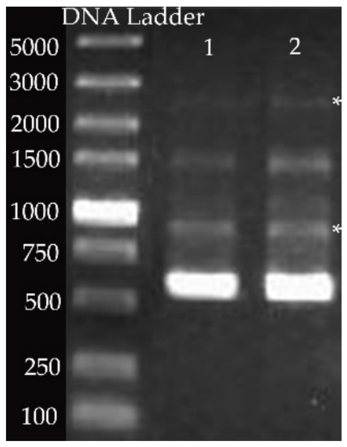 Biomolecules 11 00064 g002