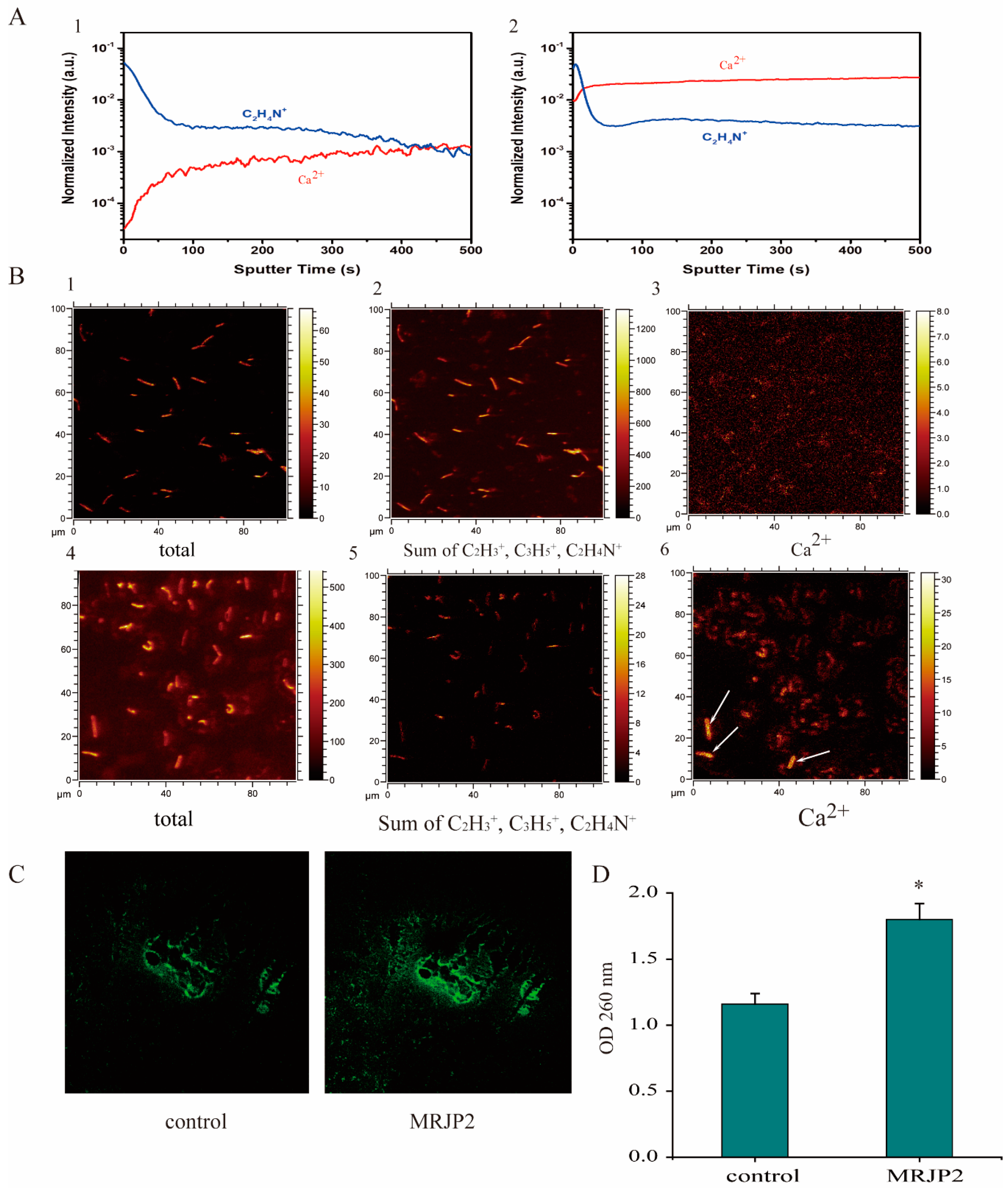 Biomolecules 11 00064 g003