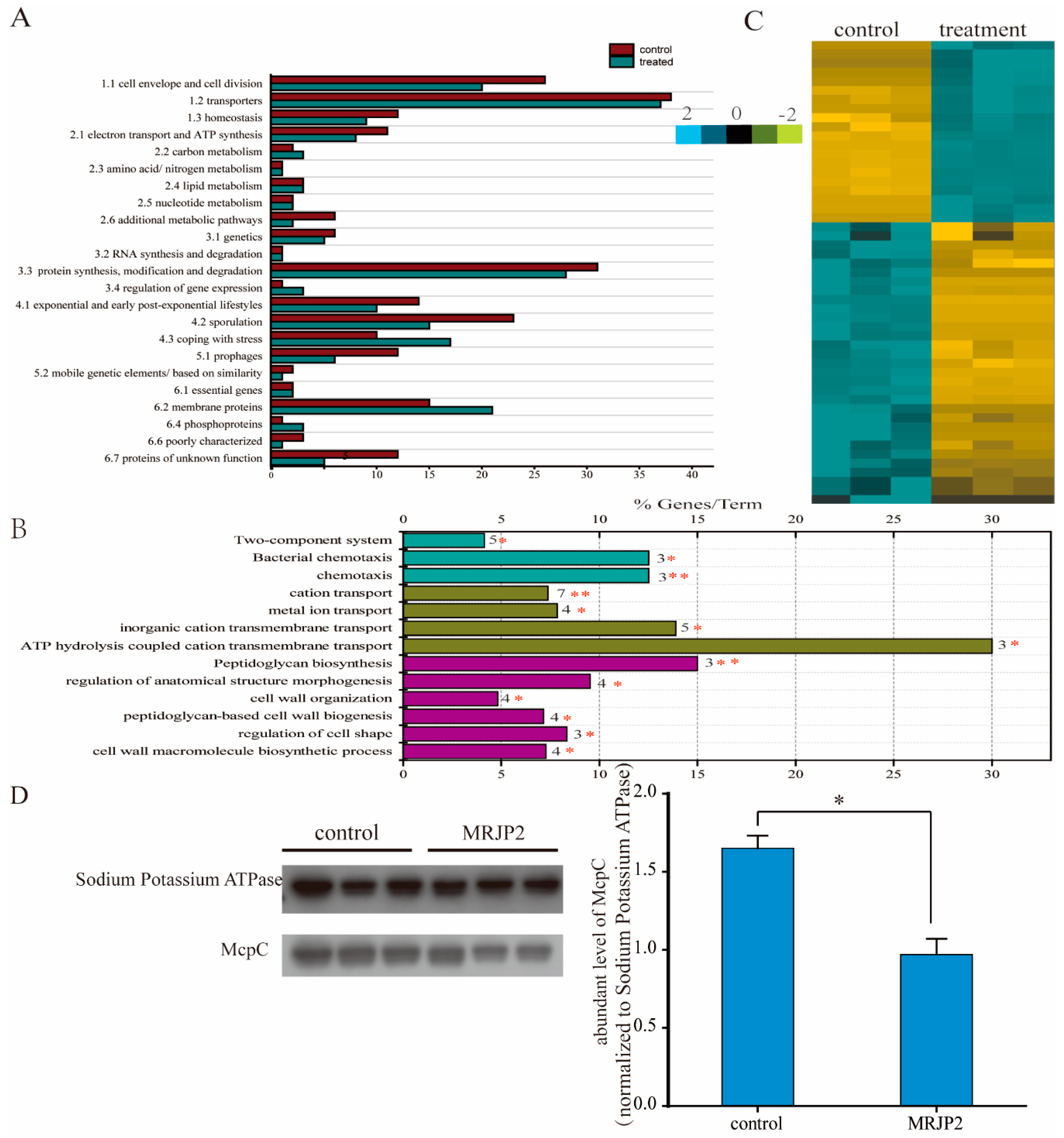 Biomolecules 11 00064 g004