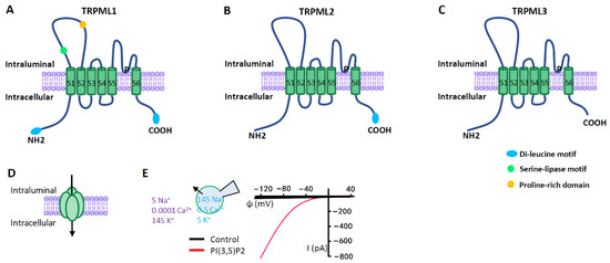 Biomolecules 11 00065 g003 550