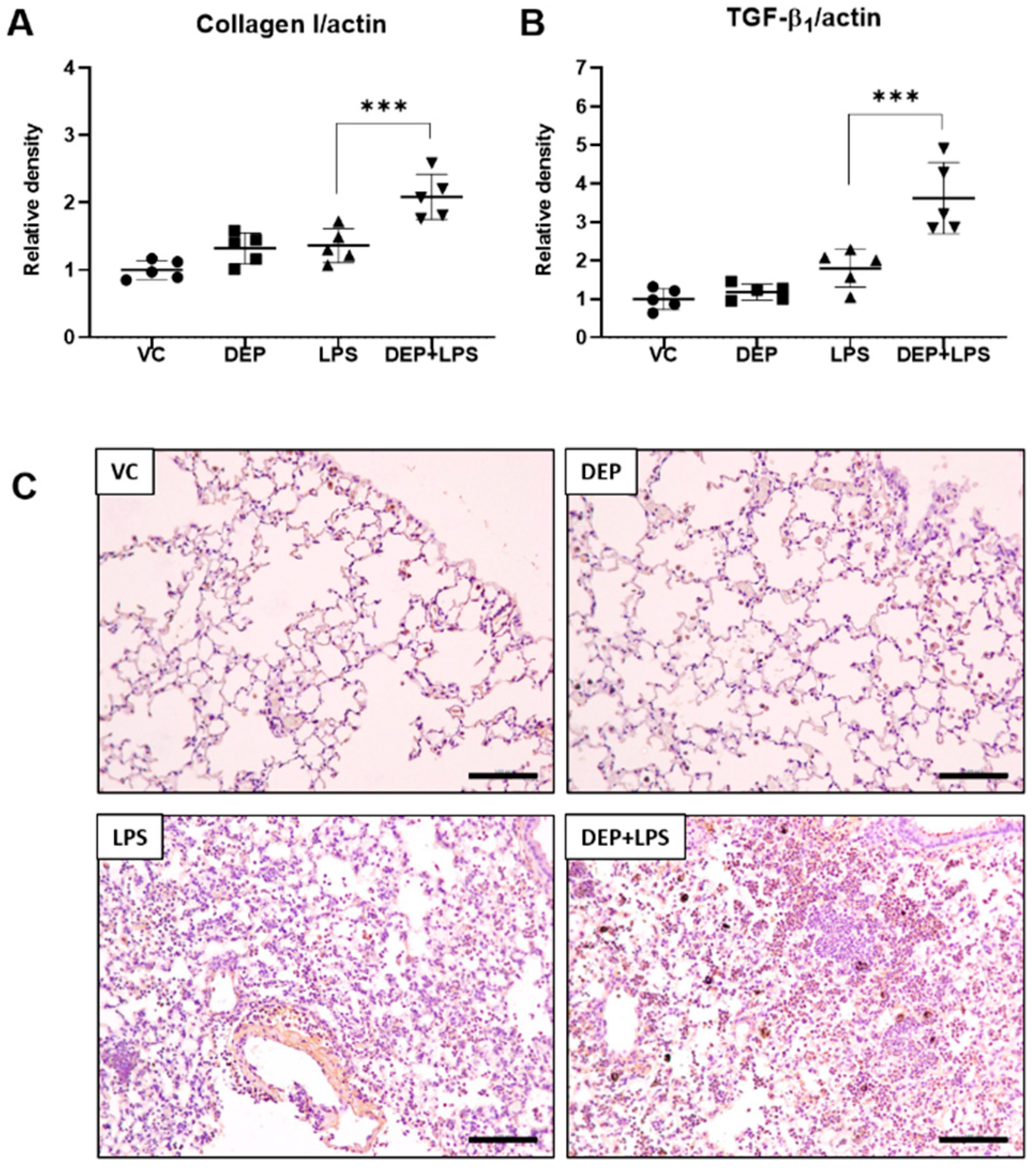 Biomolecules 11 00067 g005 Biomolecules 11 00067 g005