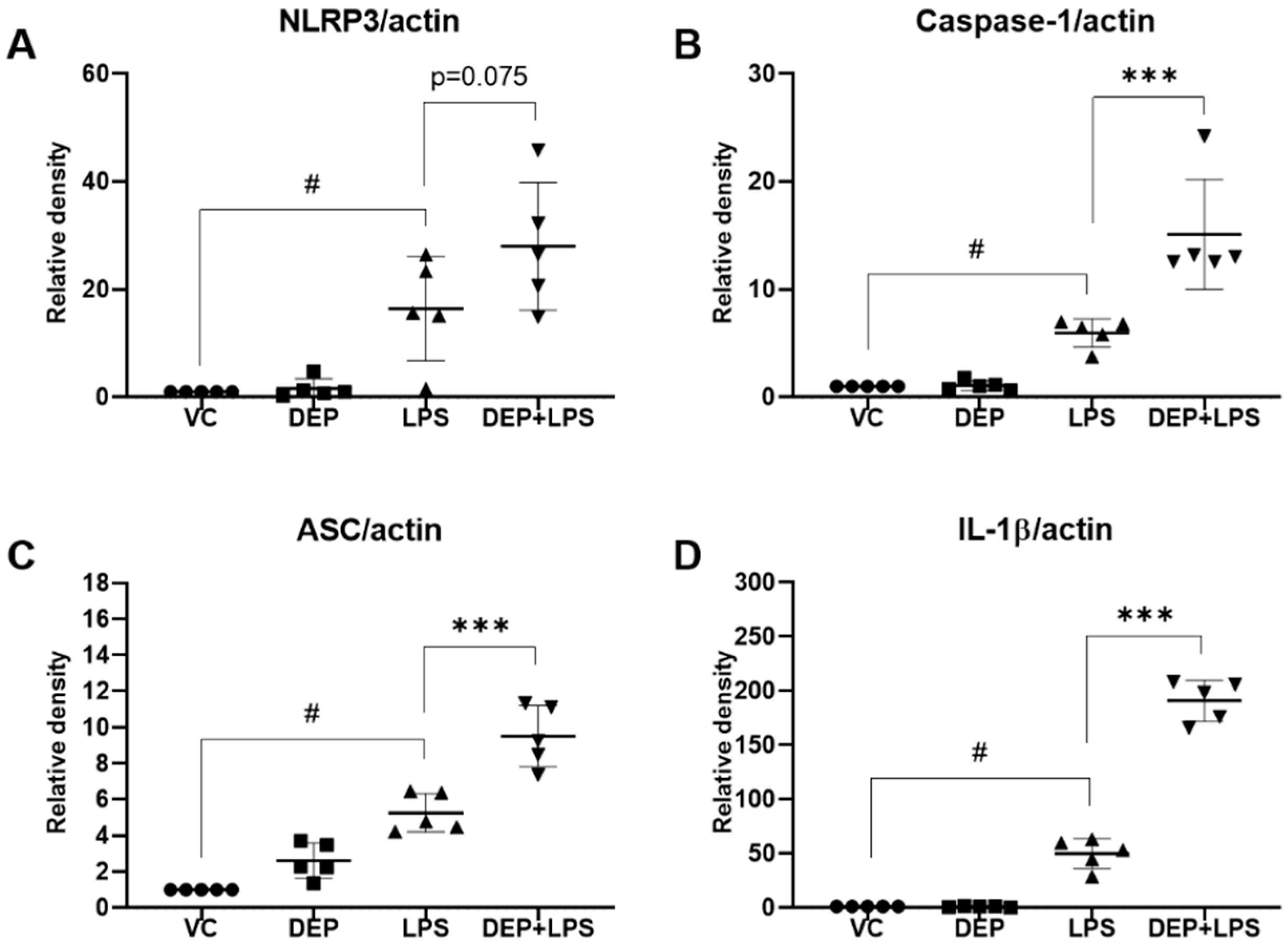 Biomolecules 11 00067 g007 Biomolecules 11 00067 g007