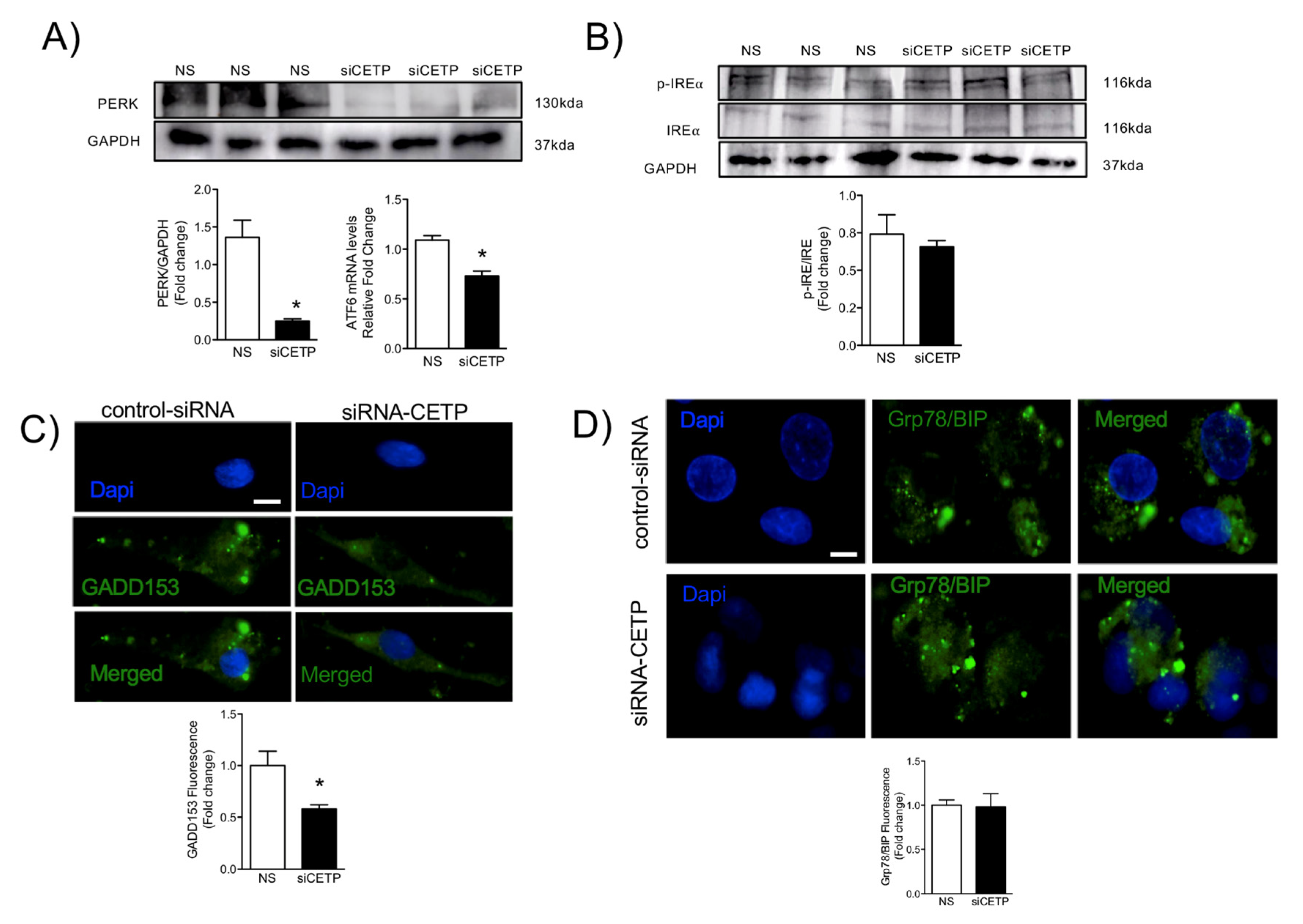 Biomolecules 11 00069 g006