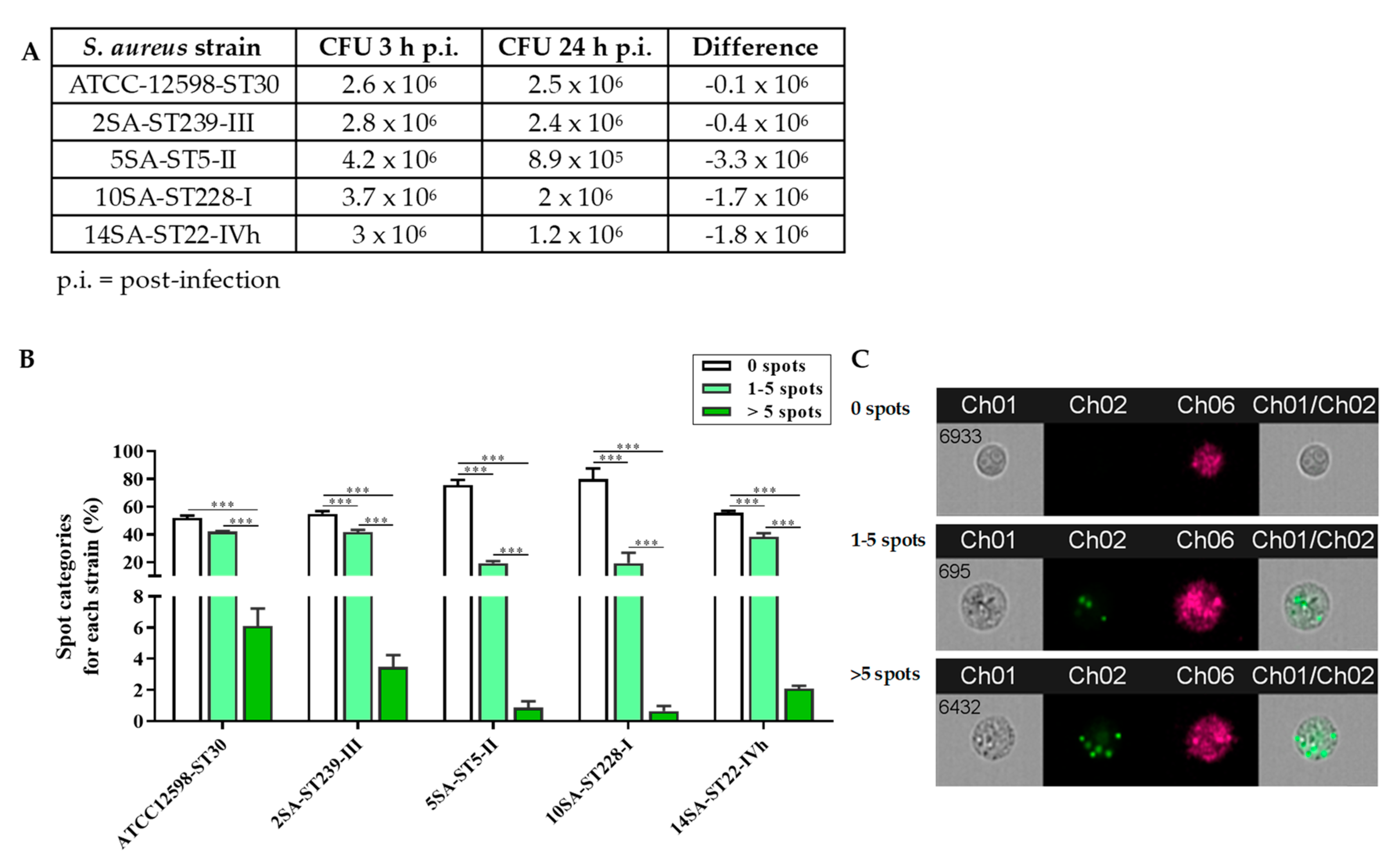 Biomolecules 11 00072 g001 Biomolecules 11 00072 g001