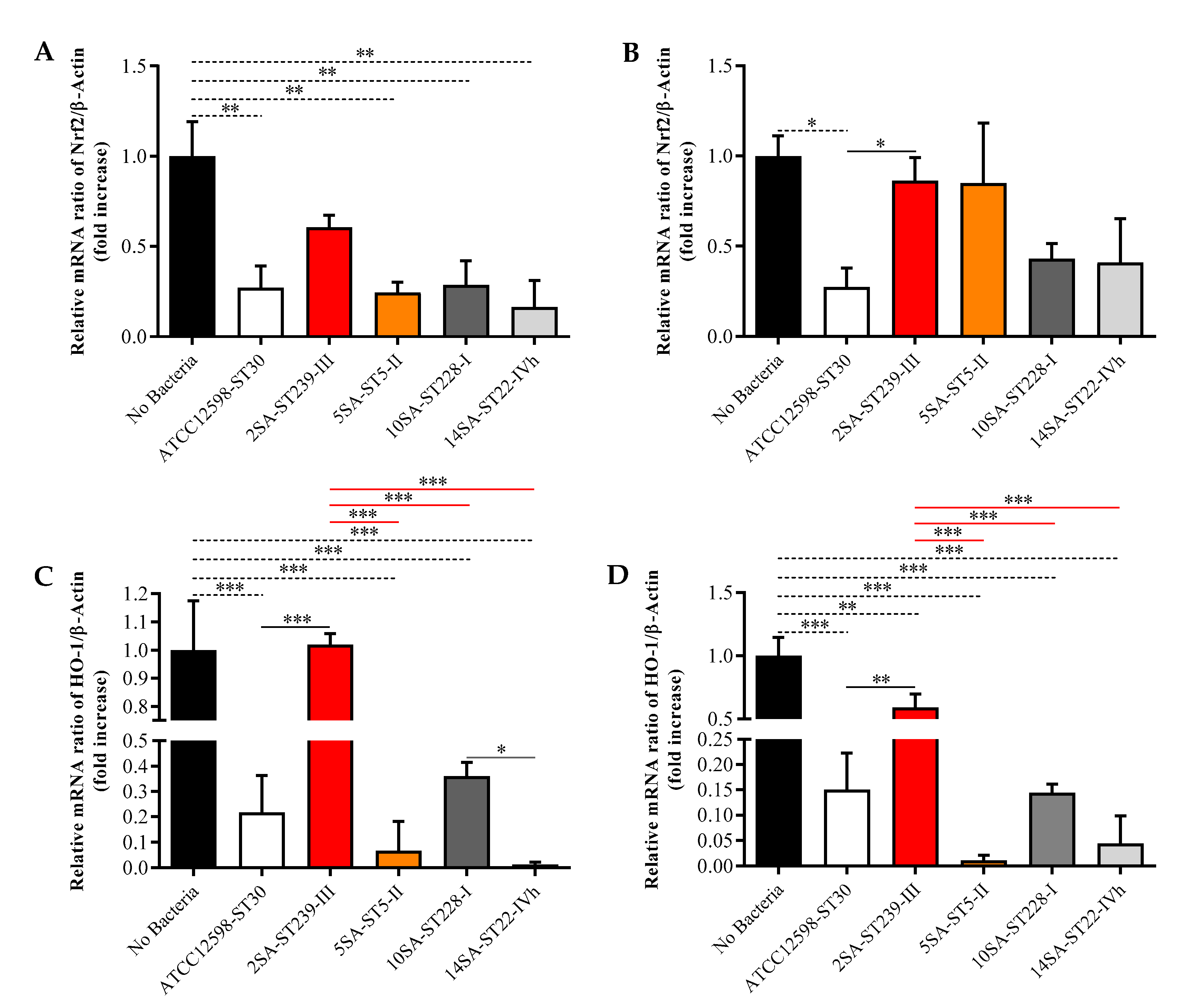 Biomolecules 11 00072 g006 Biomolecules 11 00072 g006