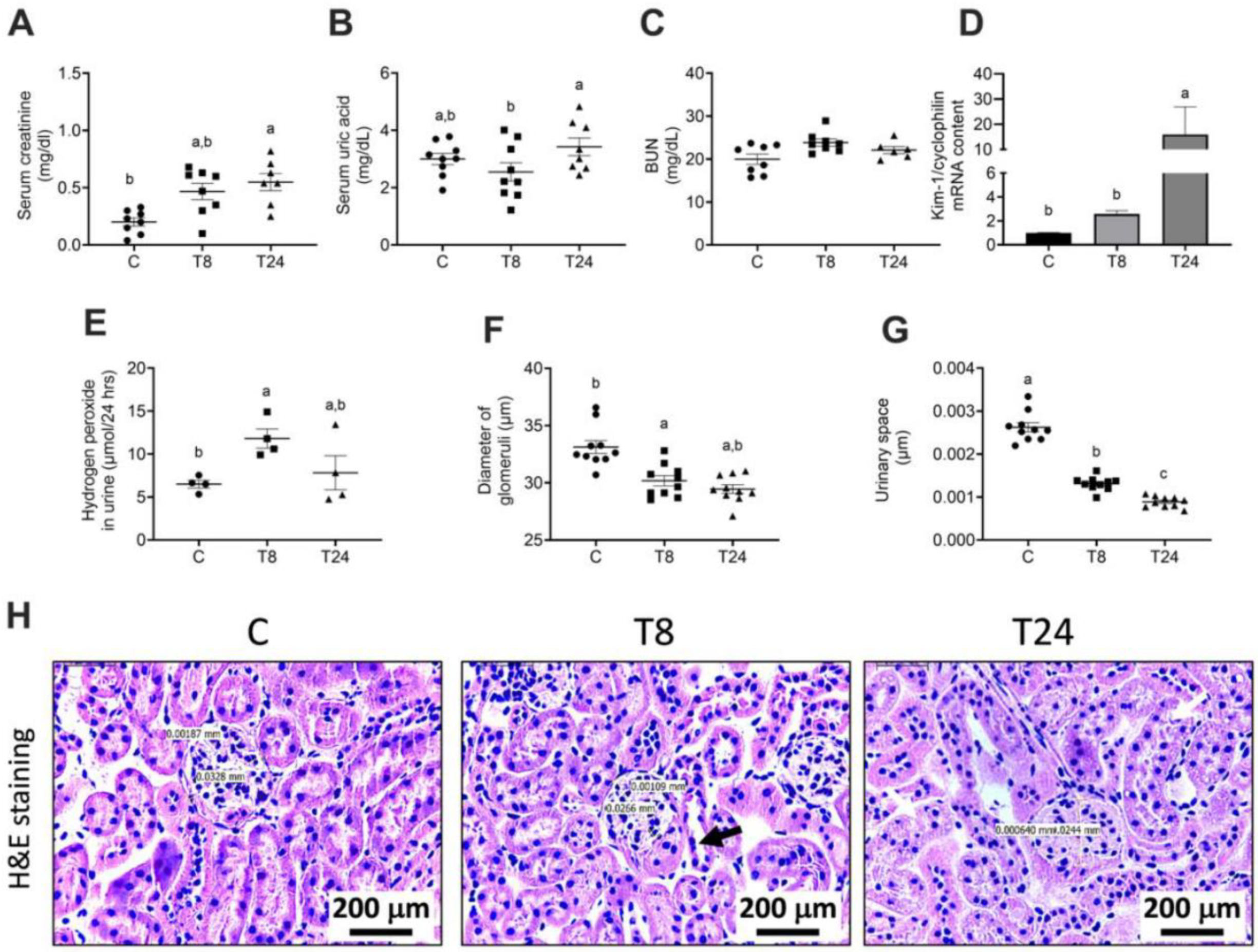 Biomolecules 11 00073 g001