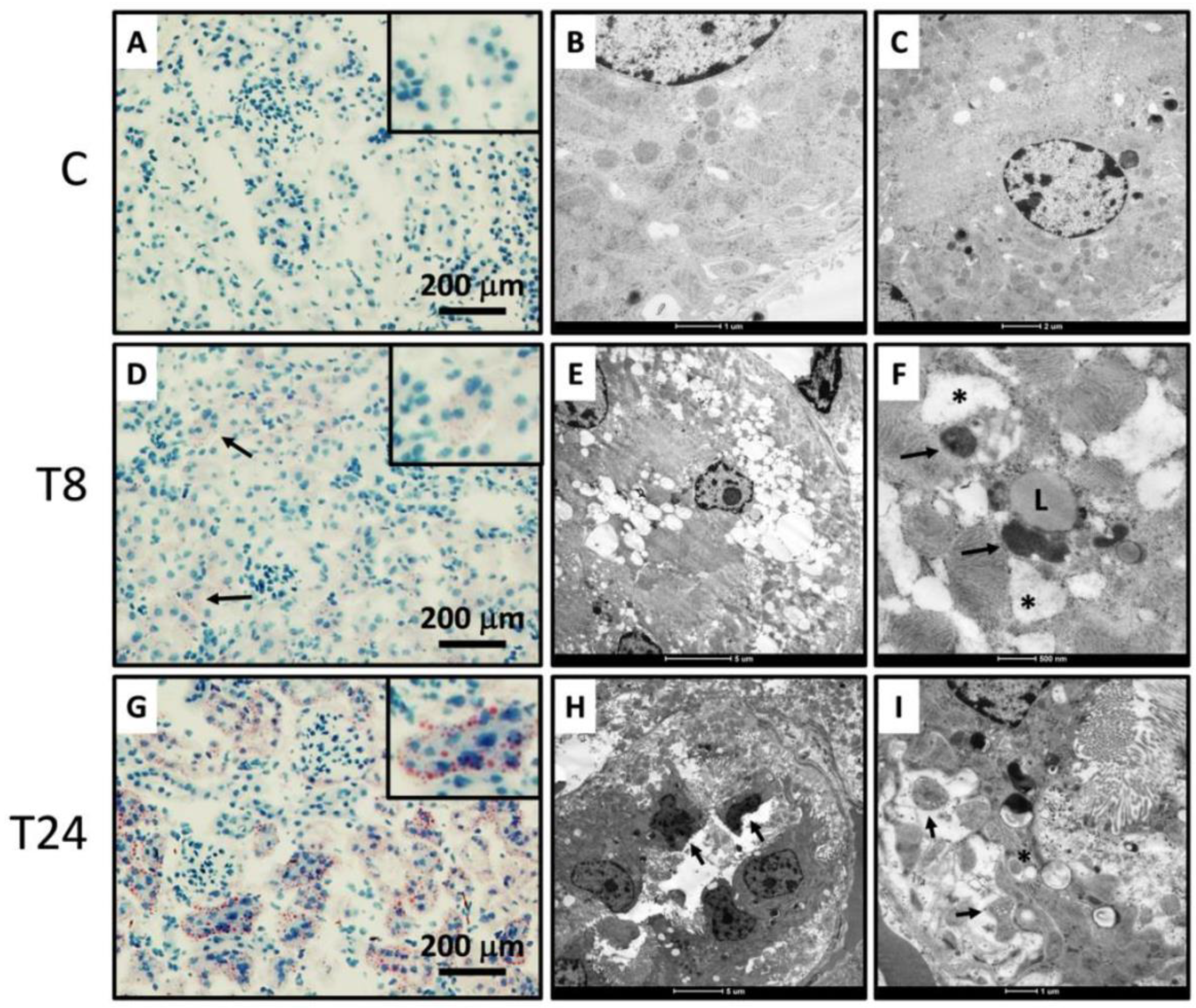 Biomolecules 11 00073 g002
