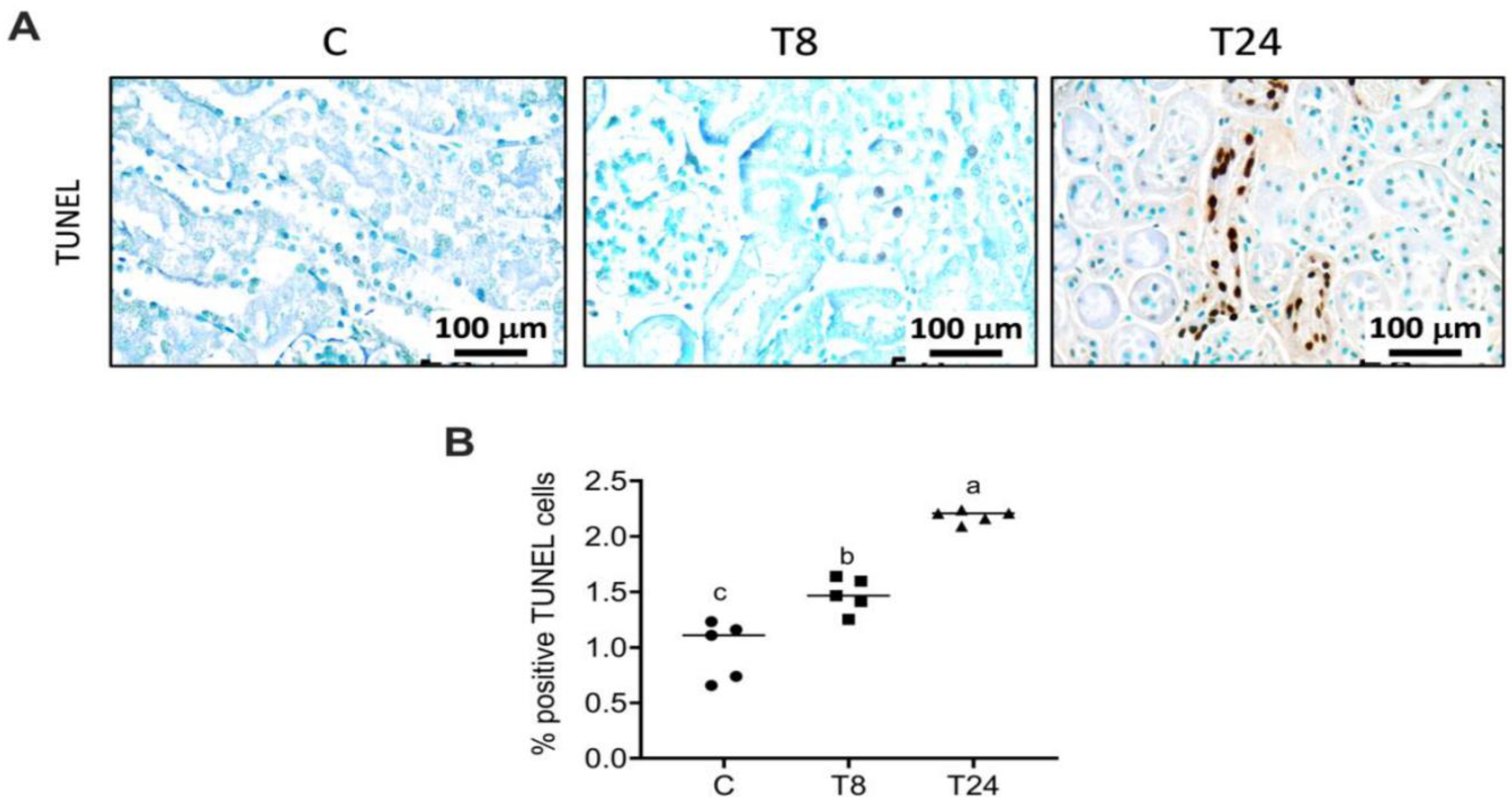 Biomolecules 11 00073 g003