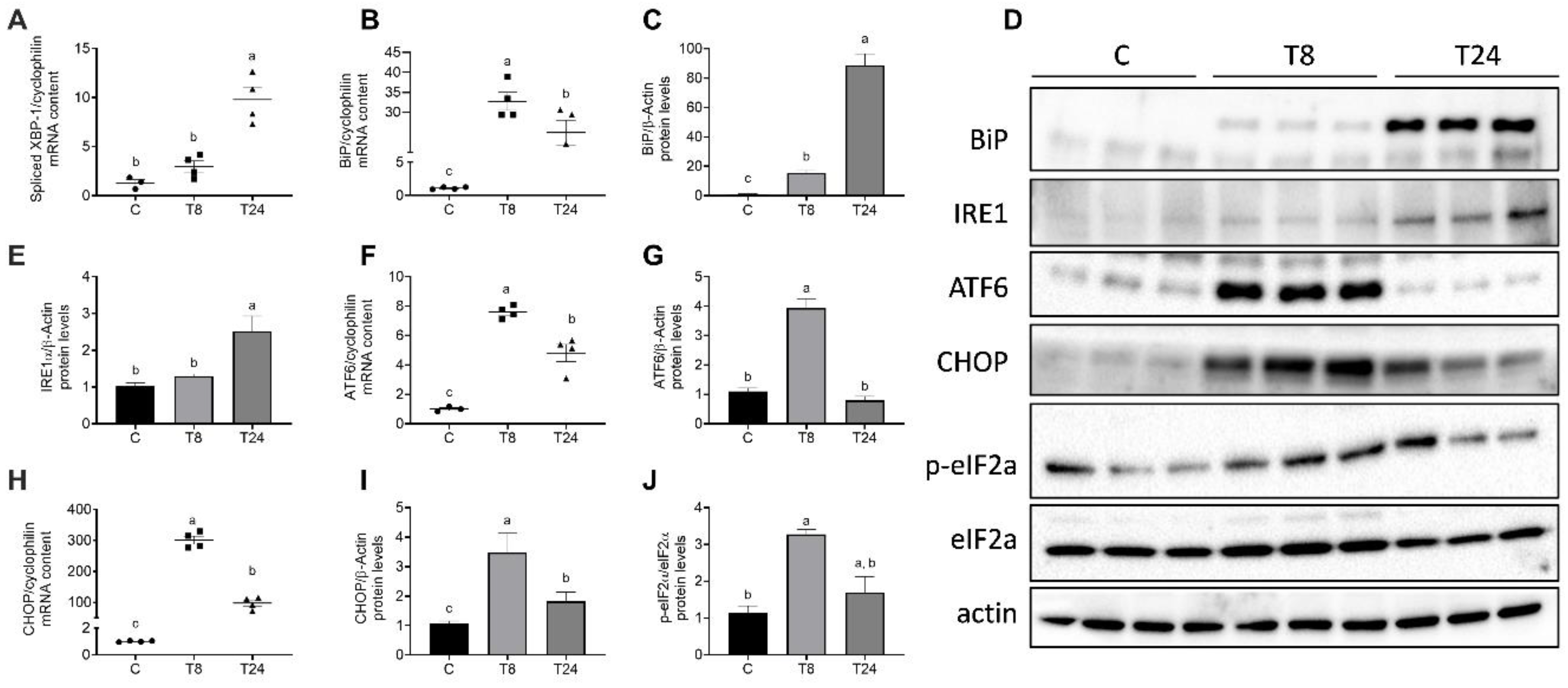 Biomolecules 11 00073 g004