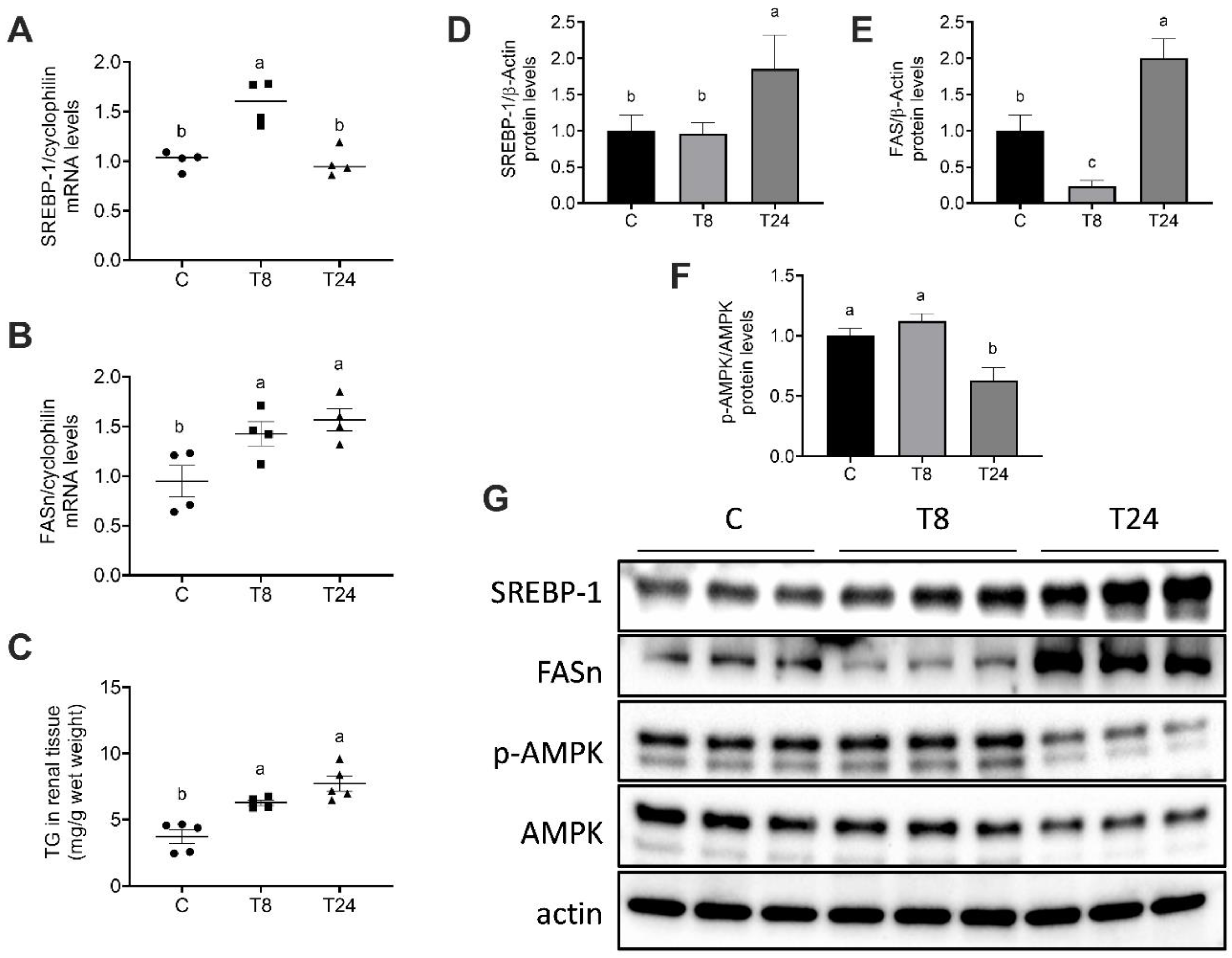 Biomolecules 11 00073 g005