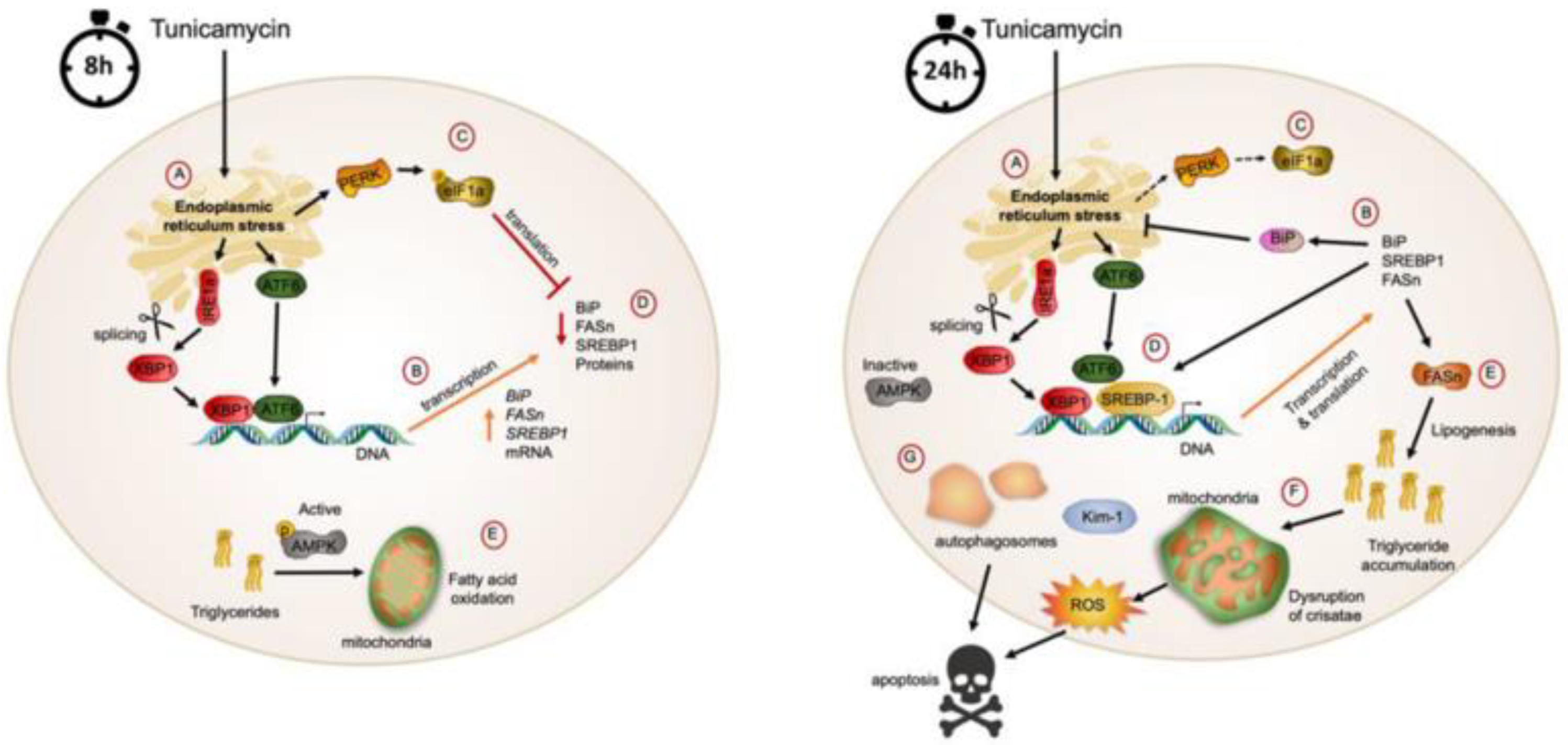Biomolecules 11 00073 g006