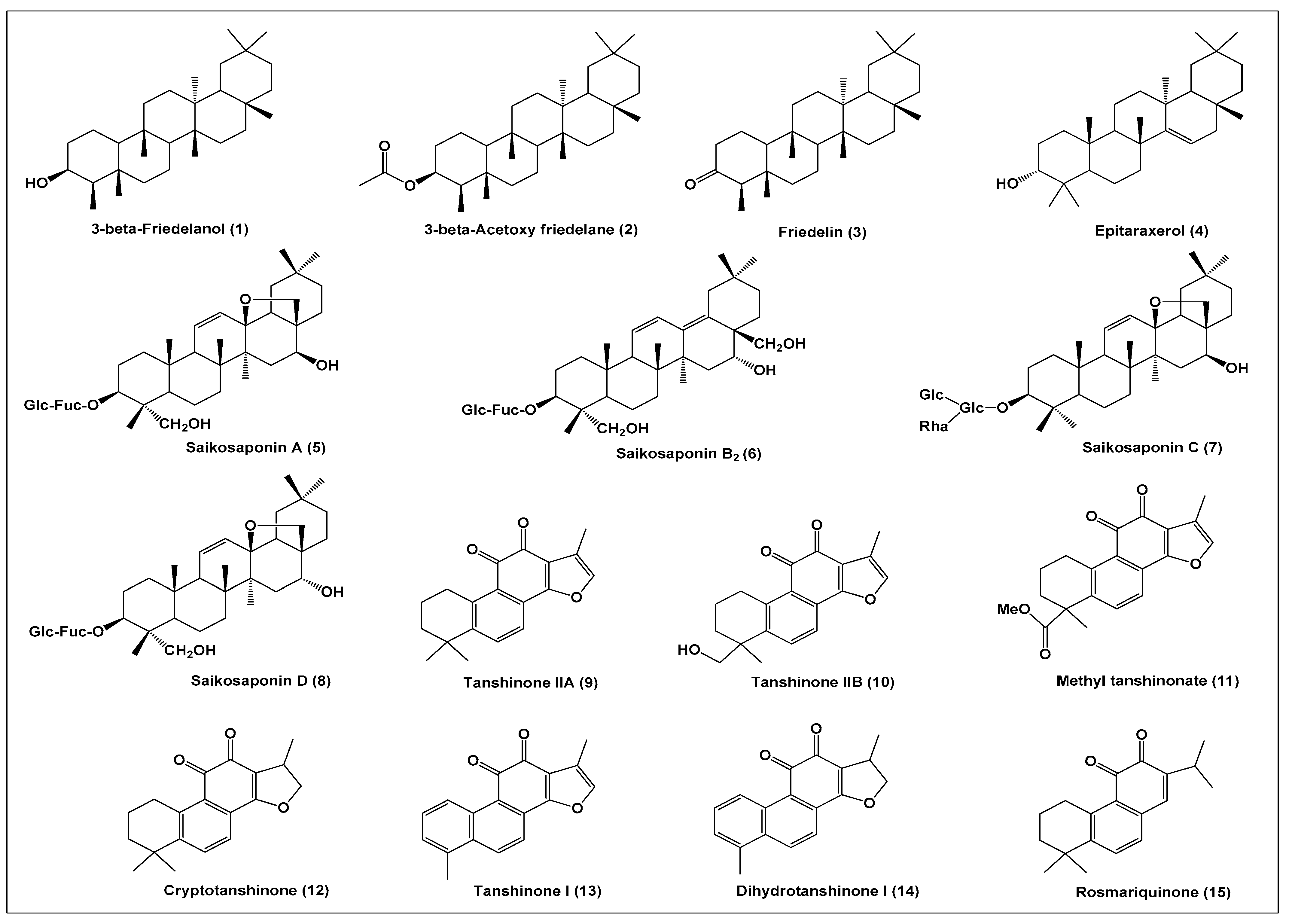 Biomolecules 11 00074 g001a