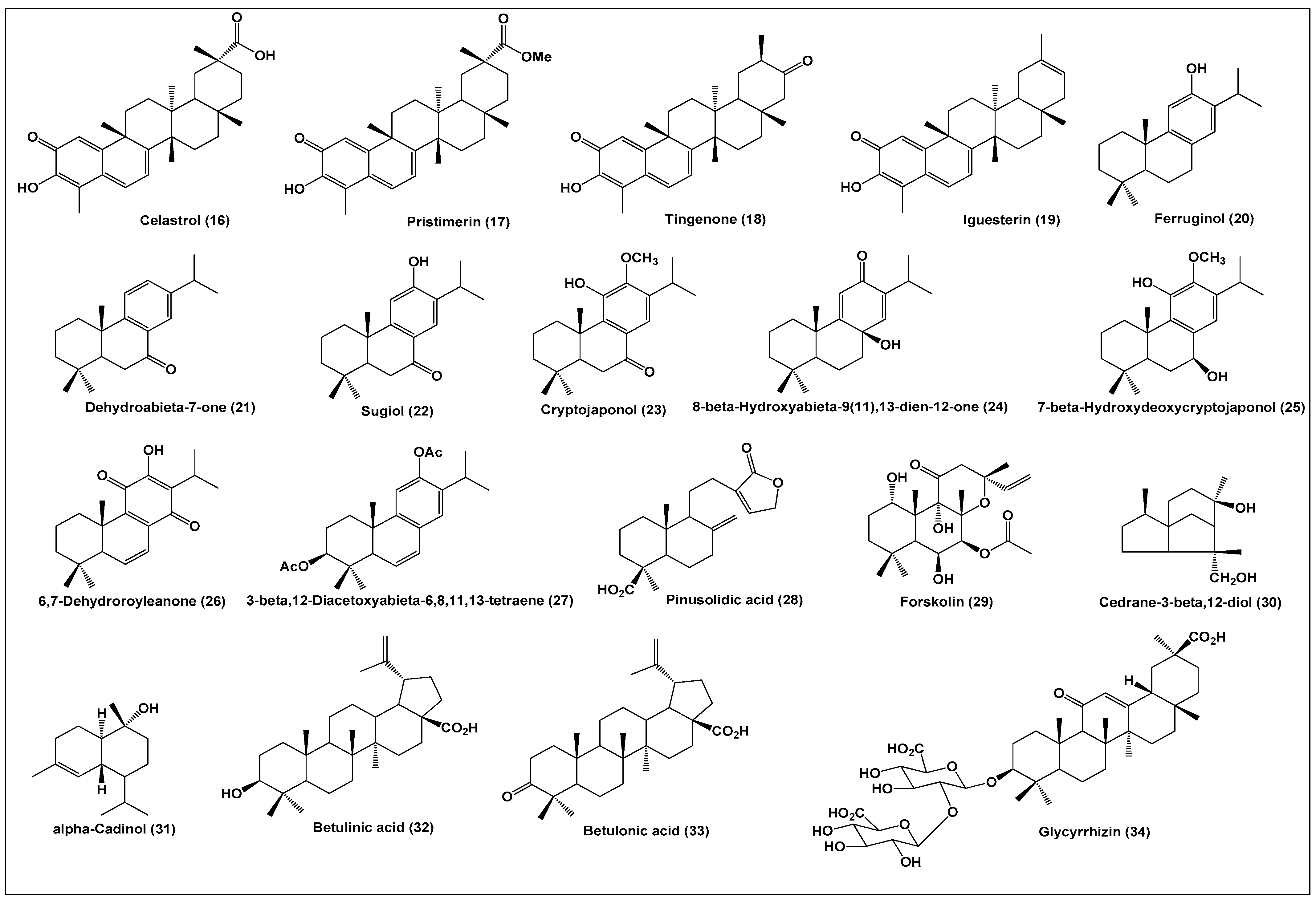 Biomolecules 11 00074 g001b