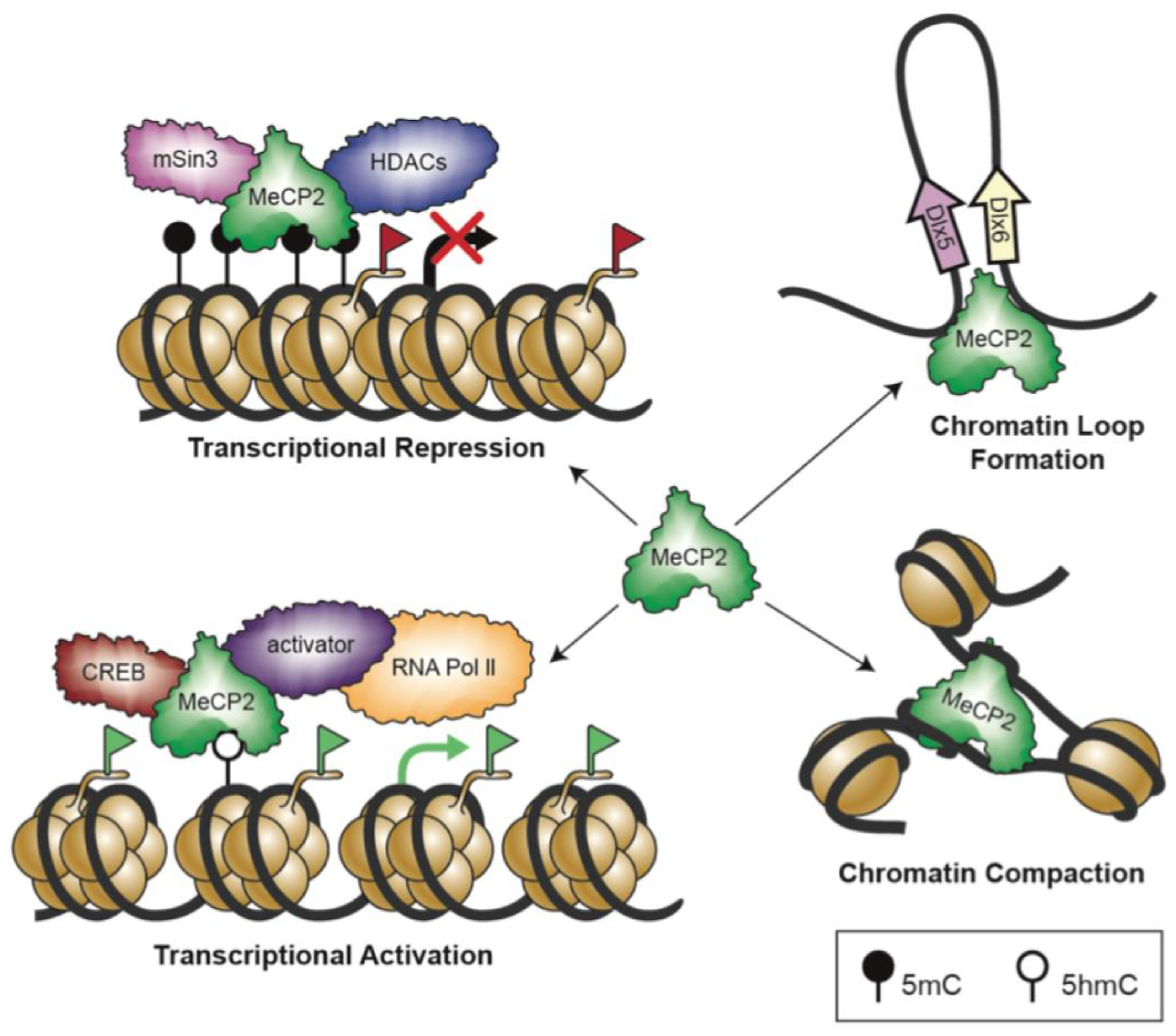 Biomolecules 11 00075 g002 Biomolecules 11 00075 g002