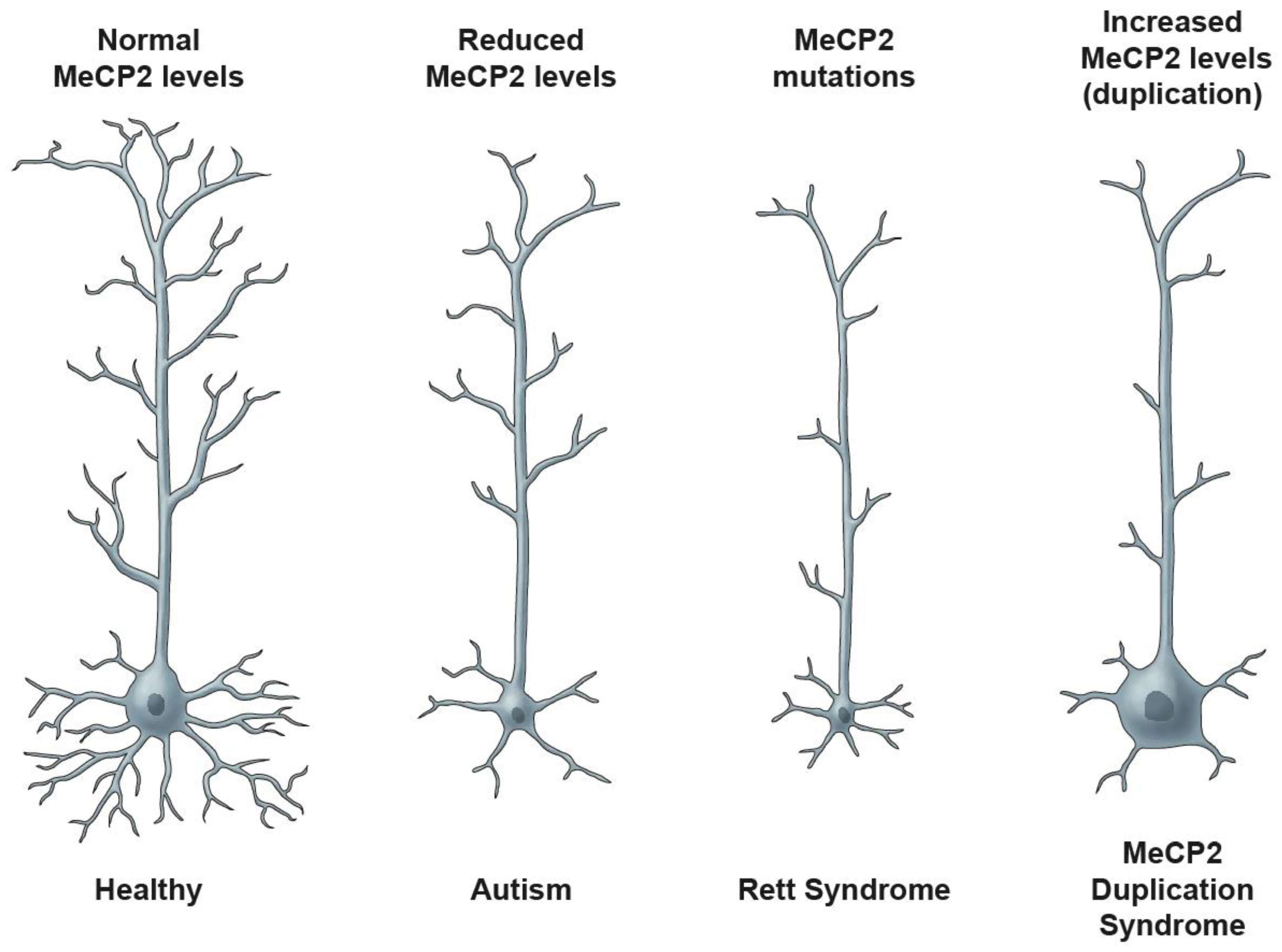 Biomolecules 11 00075 g003 Biomolecules 11 00075 g003
