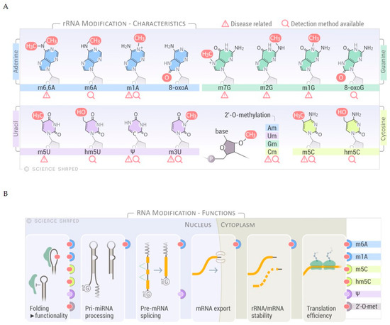 Biomolecules 11 00076 g001 550