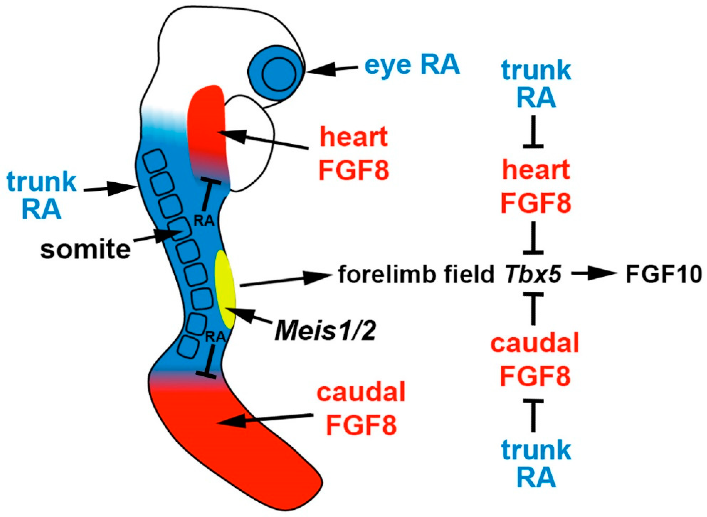 Biomolecules 11 00080 g002 Biomolecules 11 00080 g002