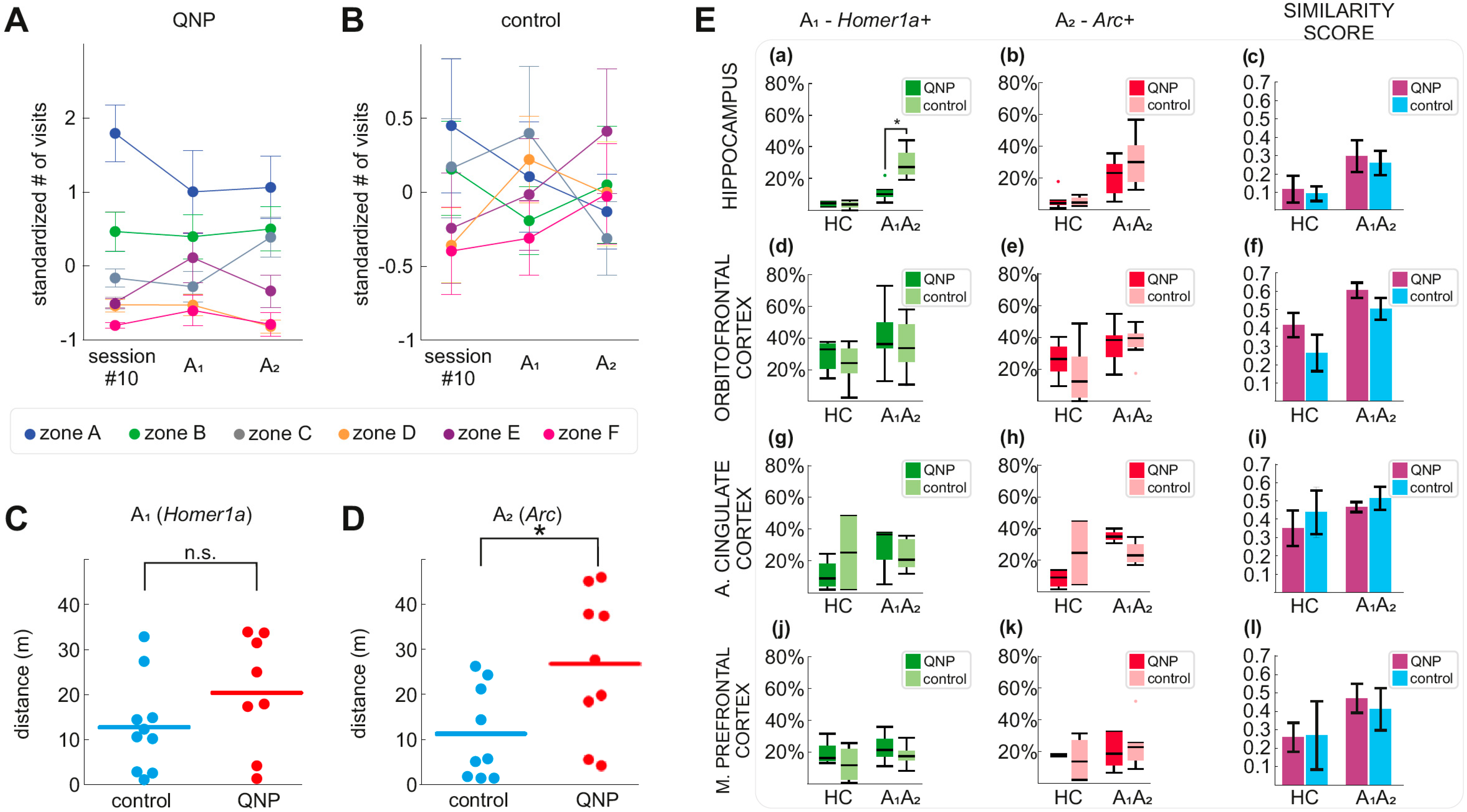 Biomolecules 11 00084 g002 Biomolecules 11 00084 g002