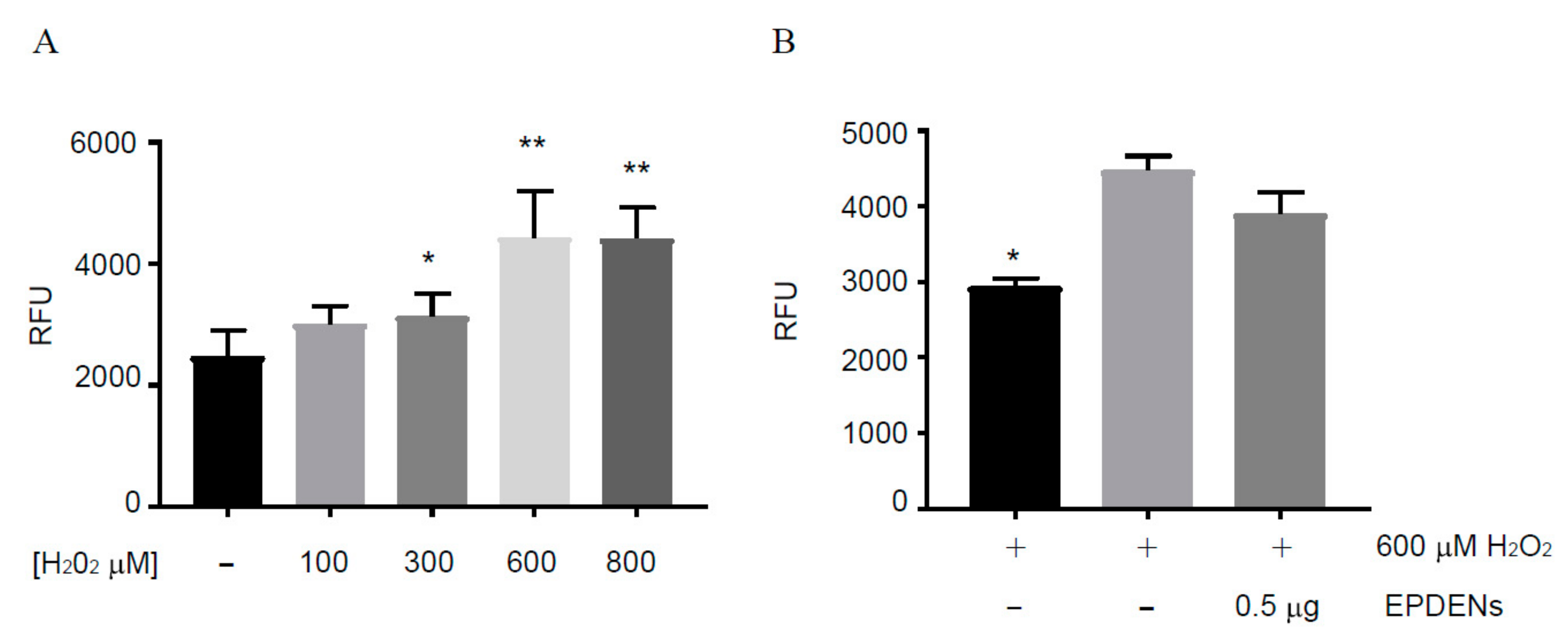 Biomolecules 11 00087 g004 Biomolecules 11 00087 g004