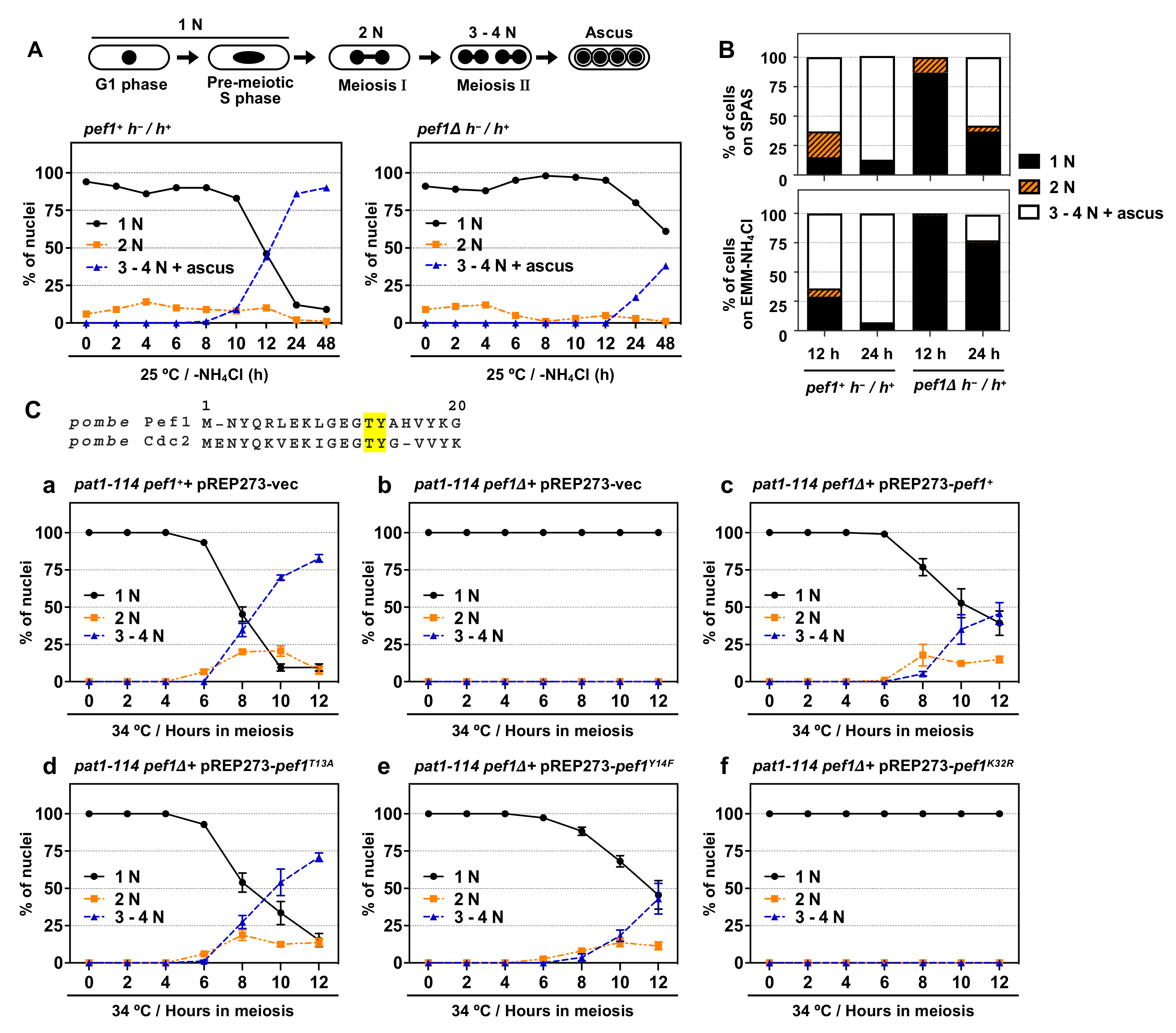 Biomolecules 11 00089 g001