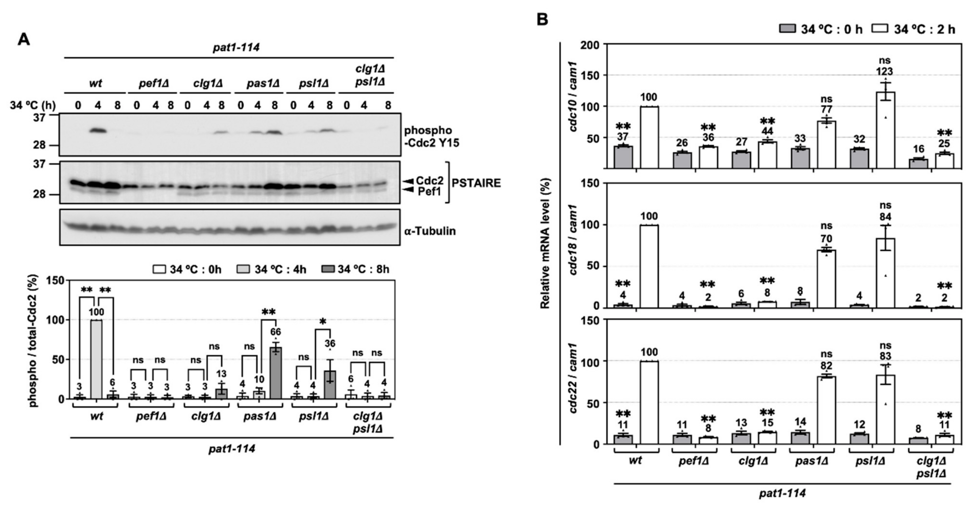 Biomolecules 11 00089 g005