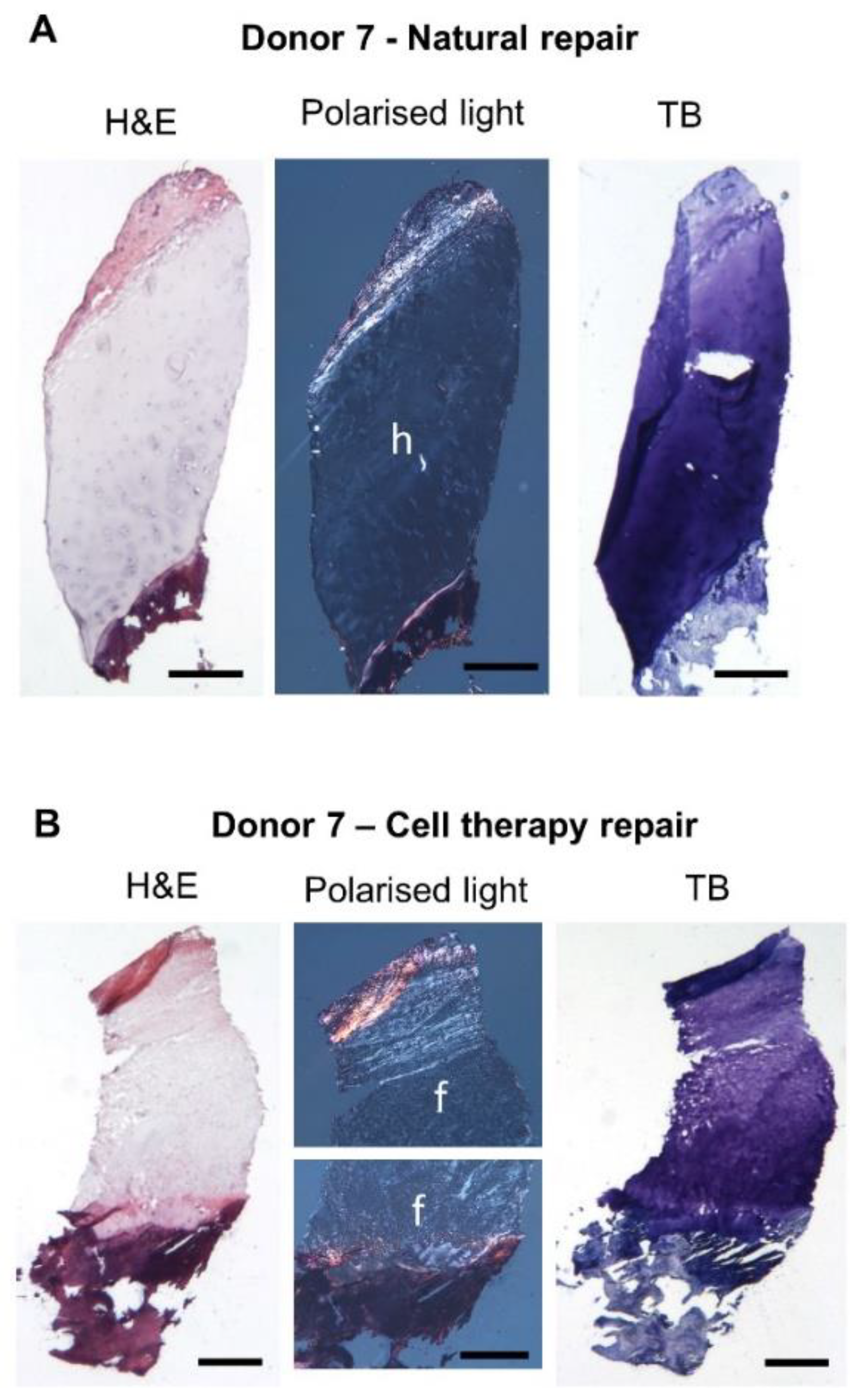 Biomolecules 11 00092 g001 Biomolecules 11 00092 g001