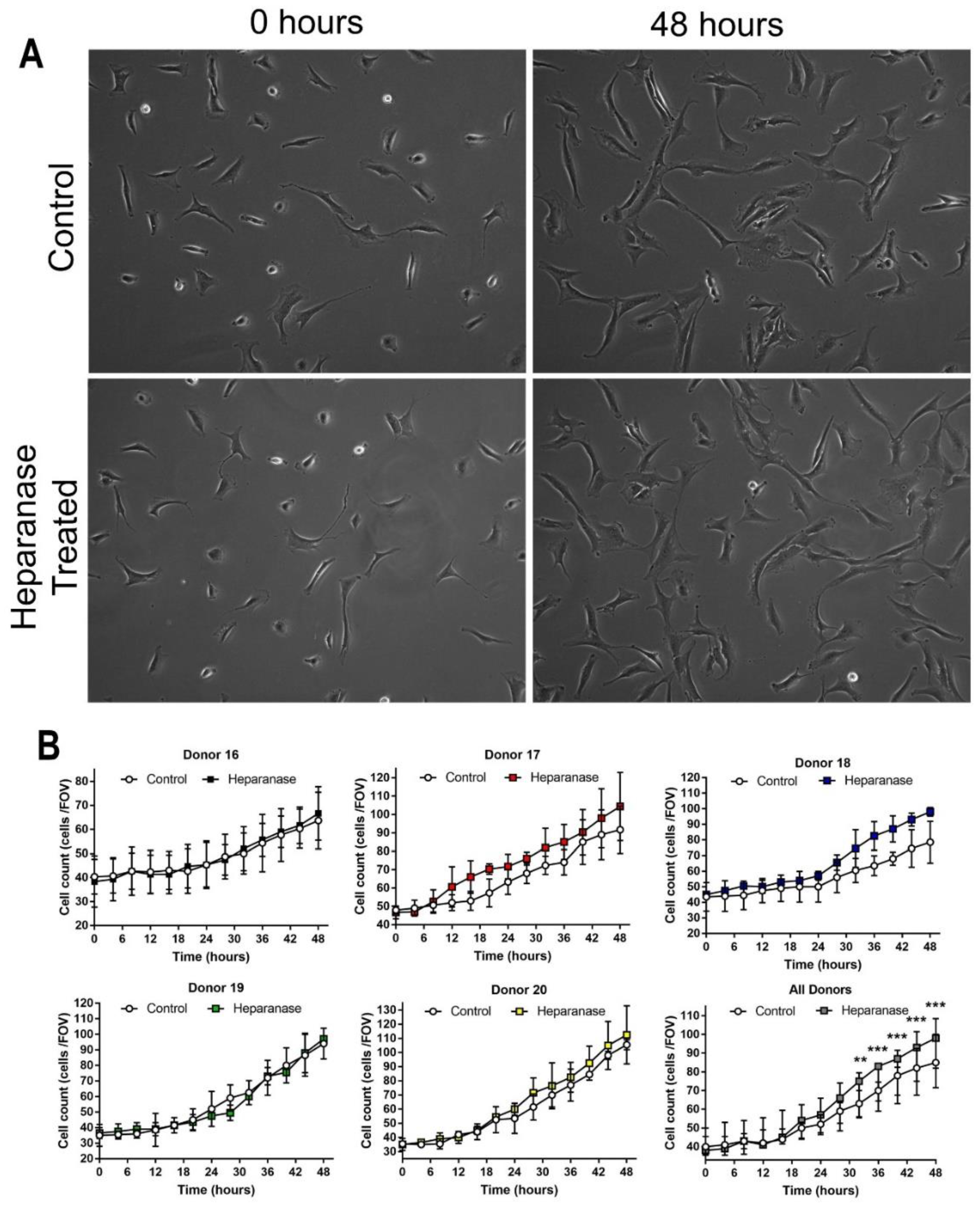 Biomolecules 11 00092 g005 Biomolecules 11 00092 g005