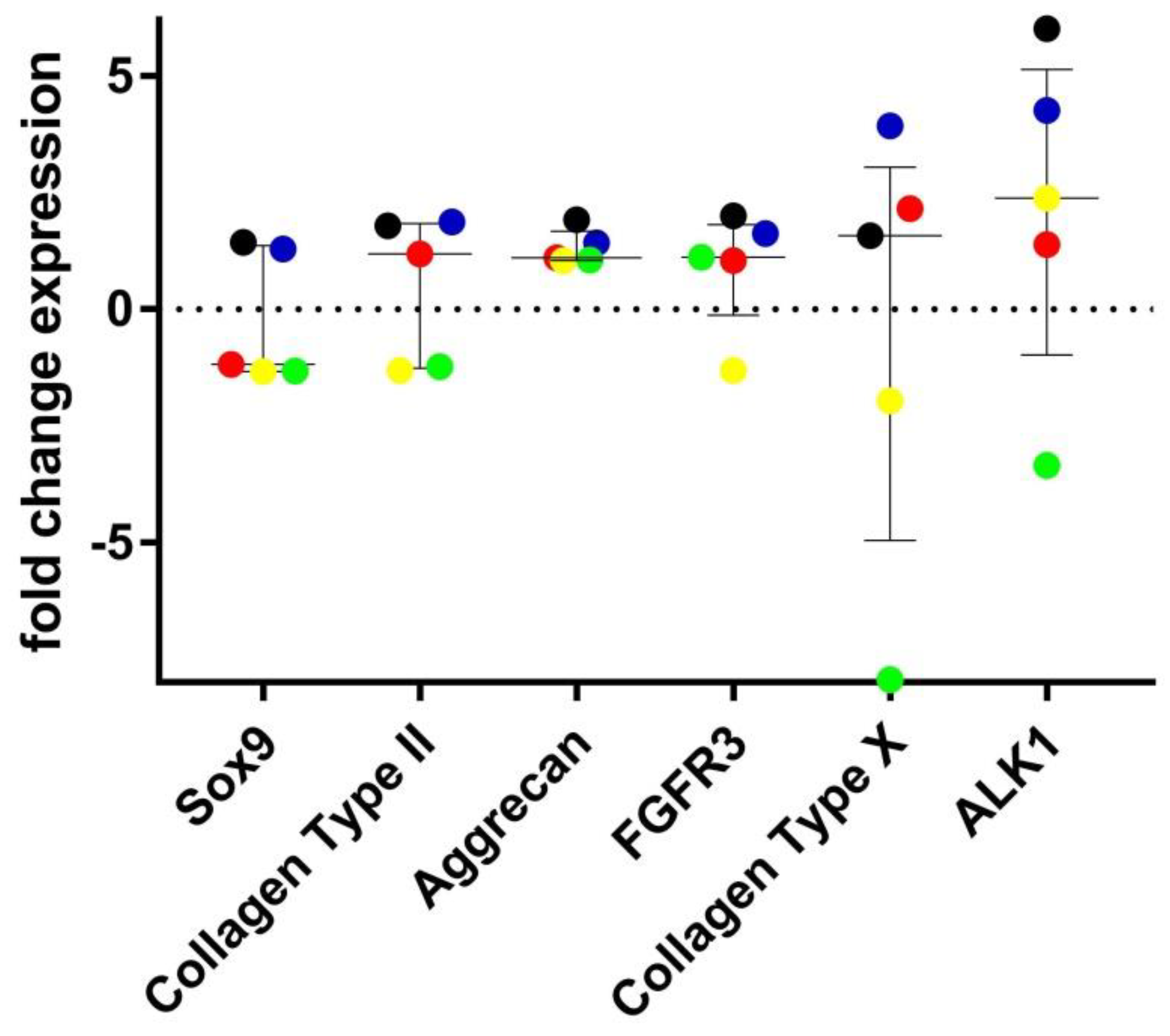 Biomolecules 11 00092 g007 Biomolecules 11 00092 g007