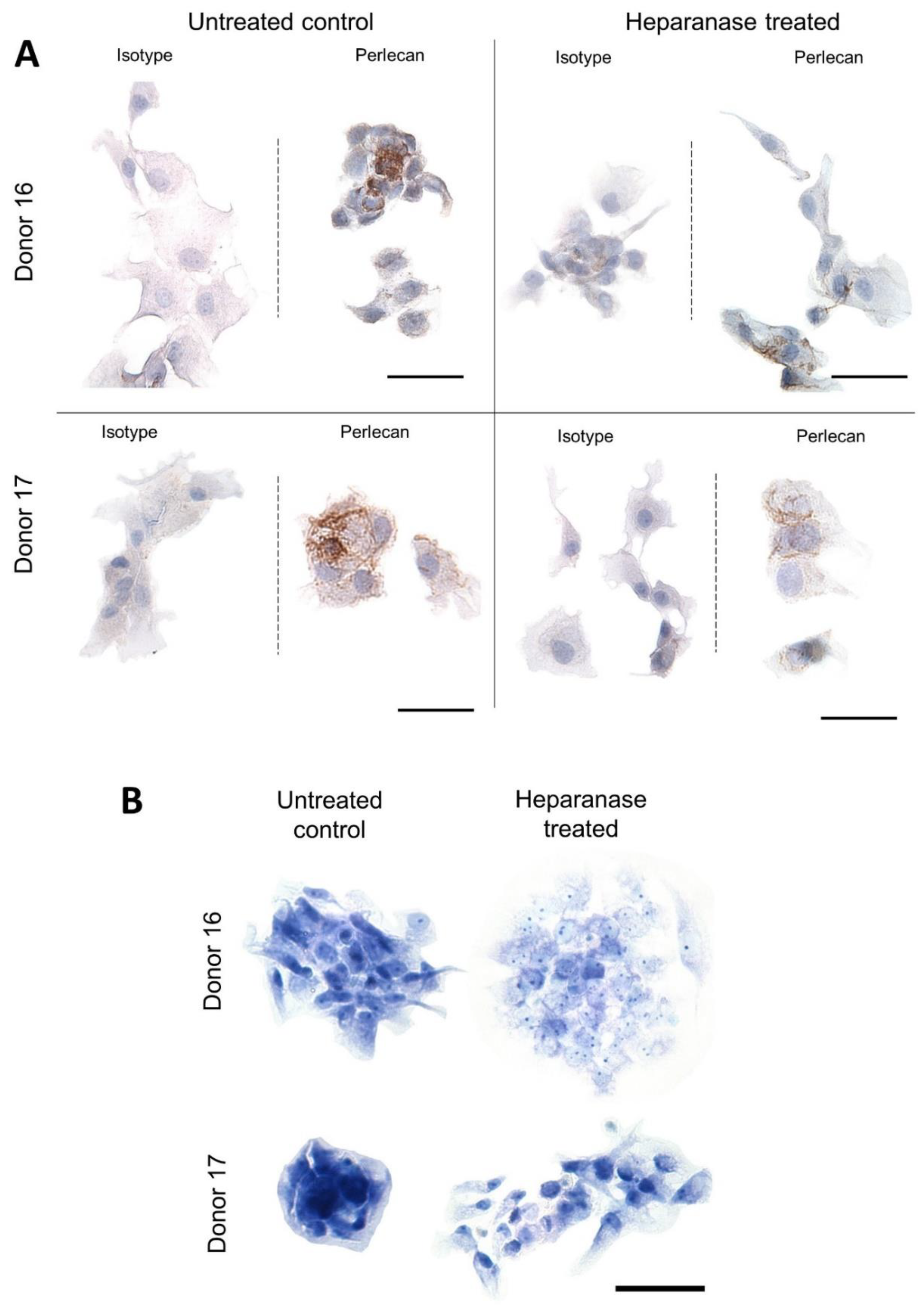 Biomolecules 11 00092 g008 Biomolecules 11 00092 g008
