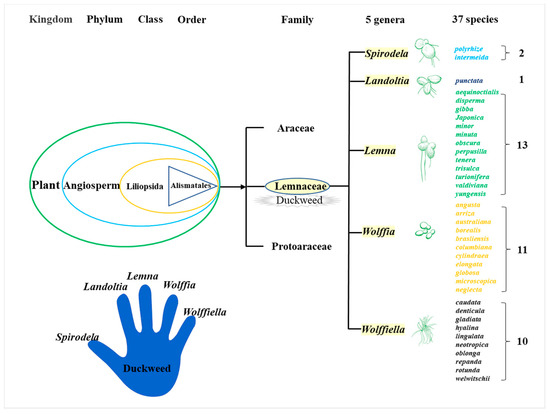 Biomolecules 11 00093 g001 550