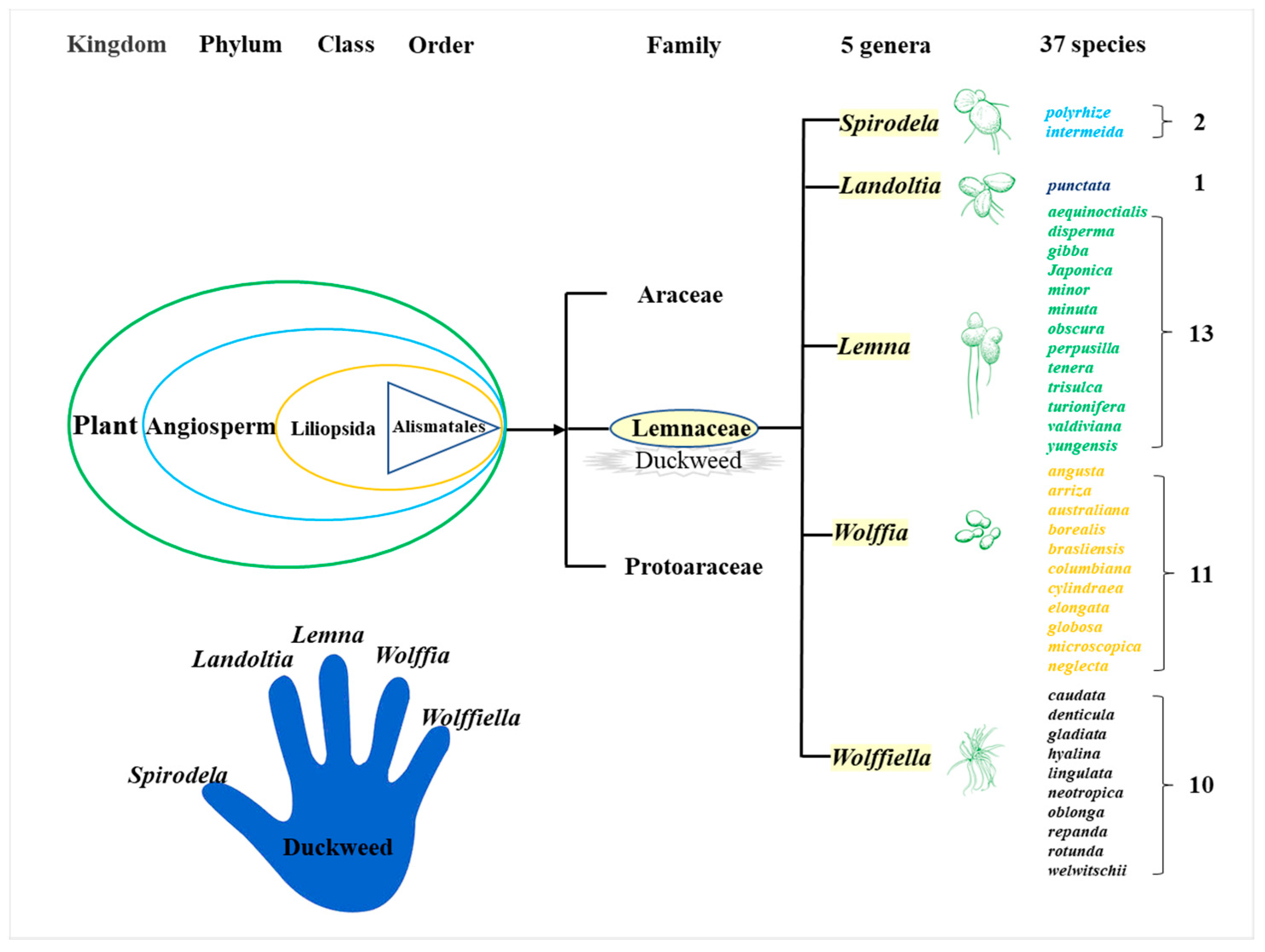 Biomolecules 11 00093 g001