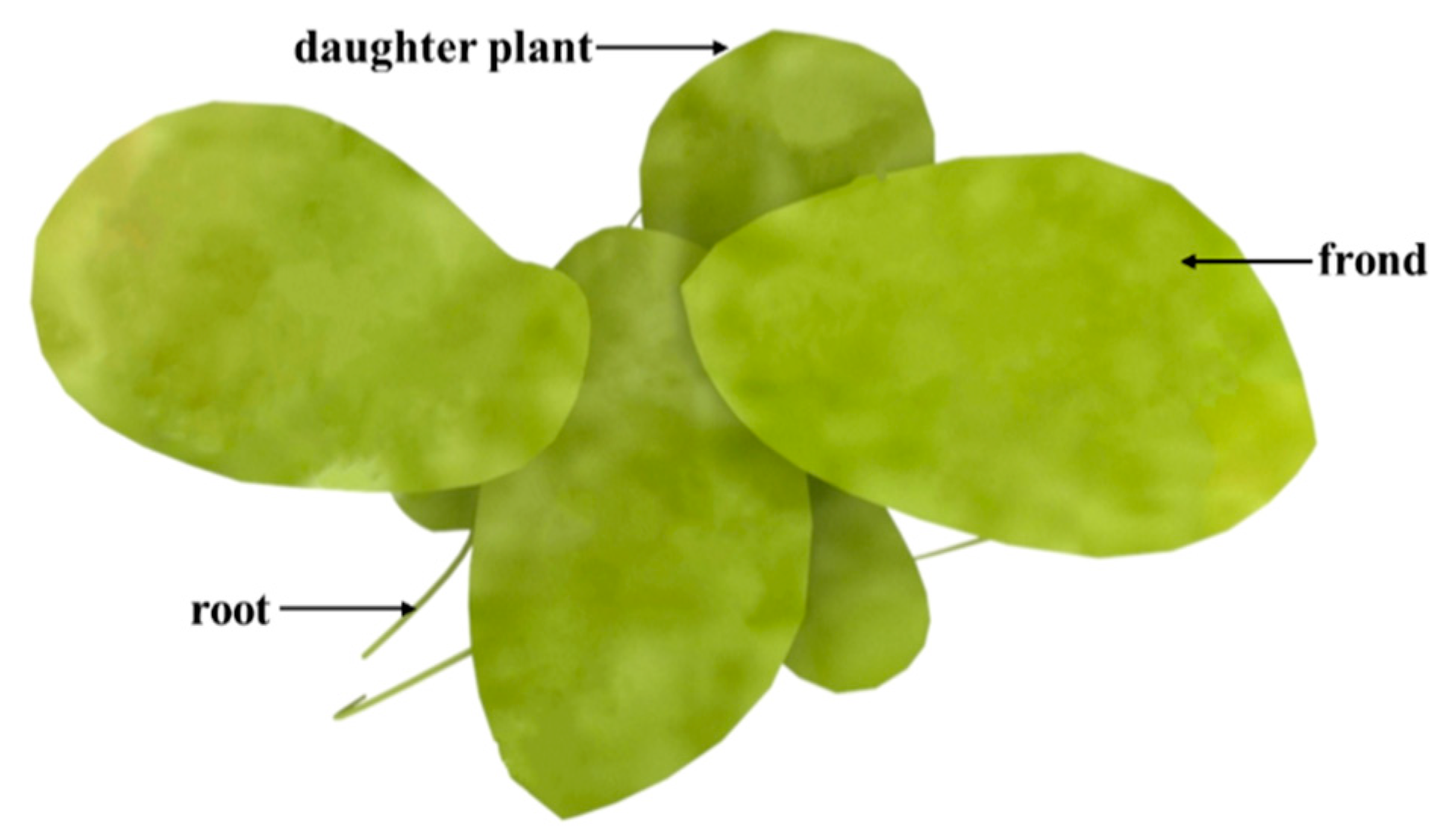 Biomolecules 11 00093 g002