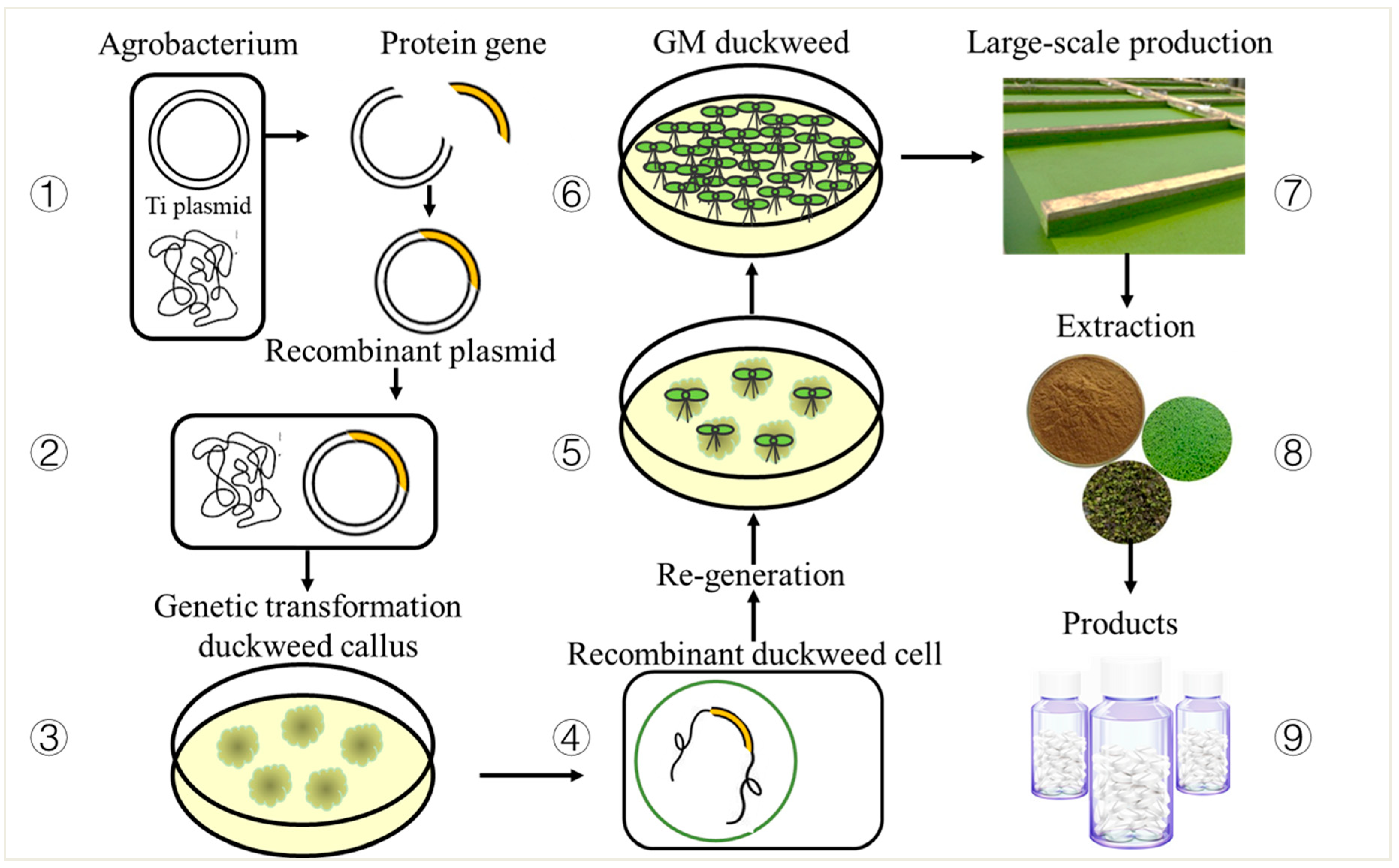 Biomolecules 11 00093 g003