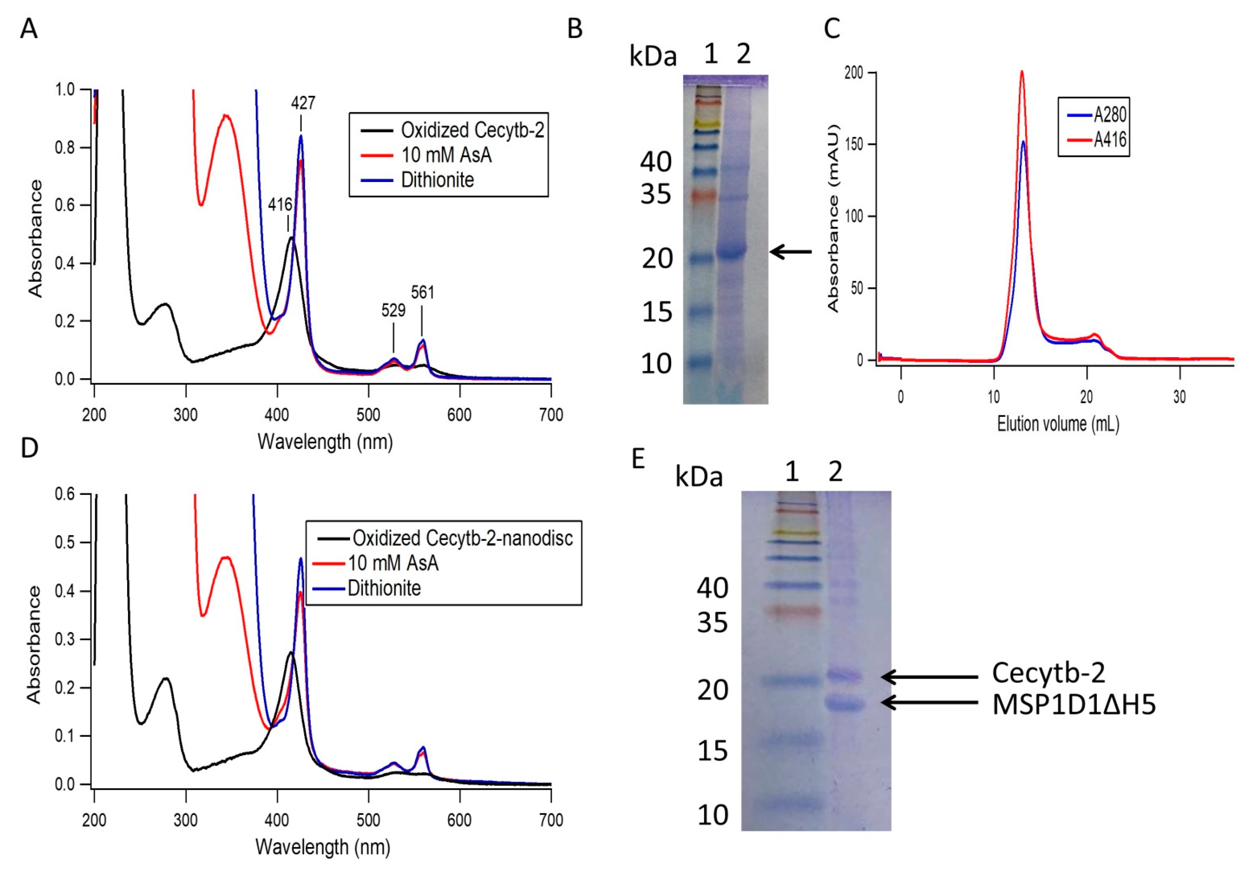 Biomolecules 11 00096 g001 Biomolecules 11 00096 g001