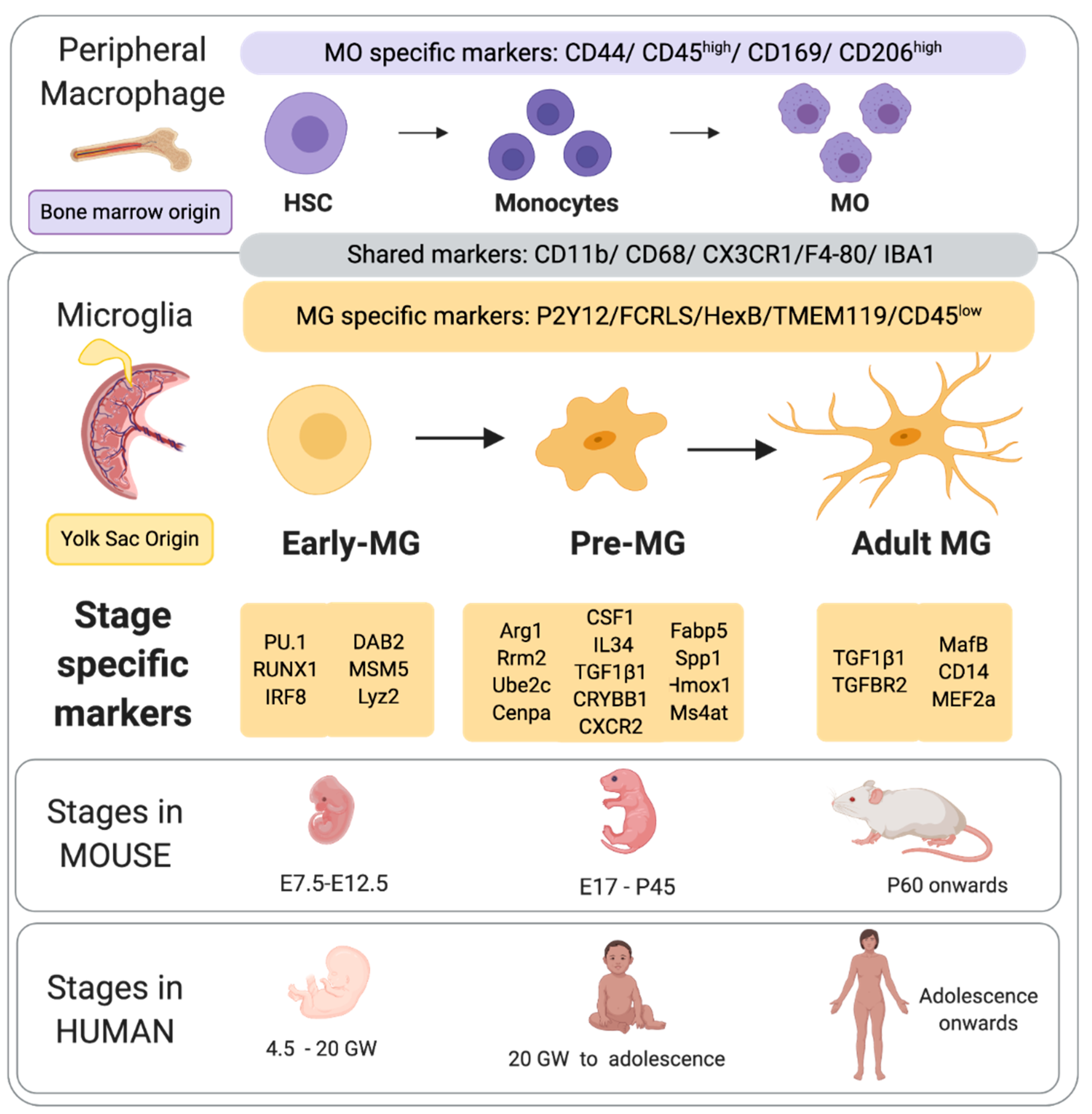 Biomolecules 11 00099 g001 Biomolecules 11 00099 g001
