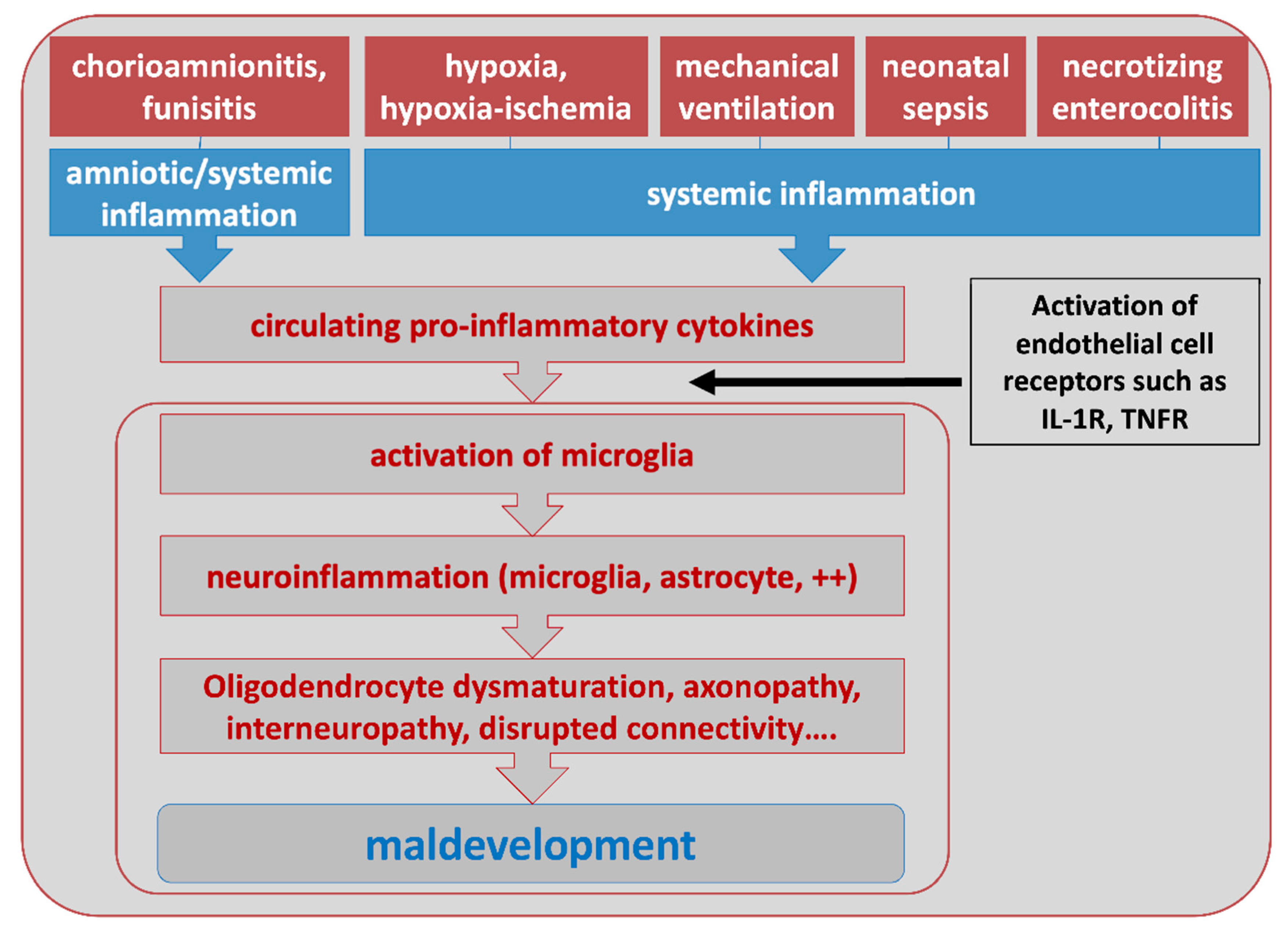 Biomolecules 11 00099 g002 Biomolecules 11 00099 g002